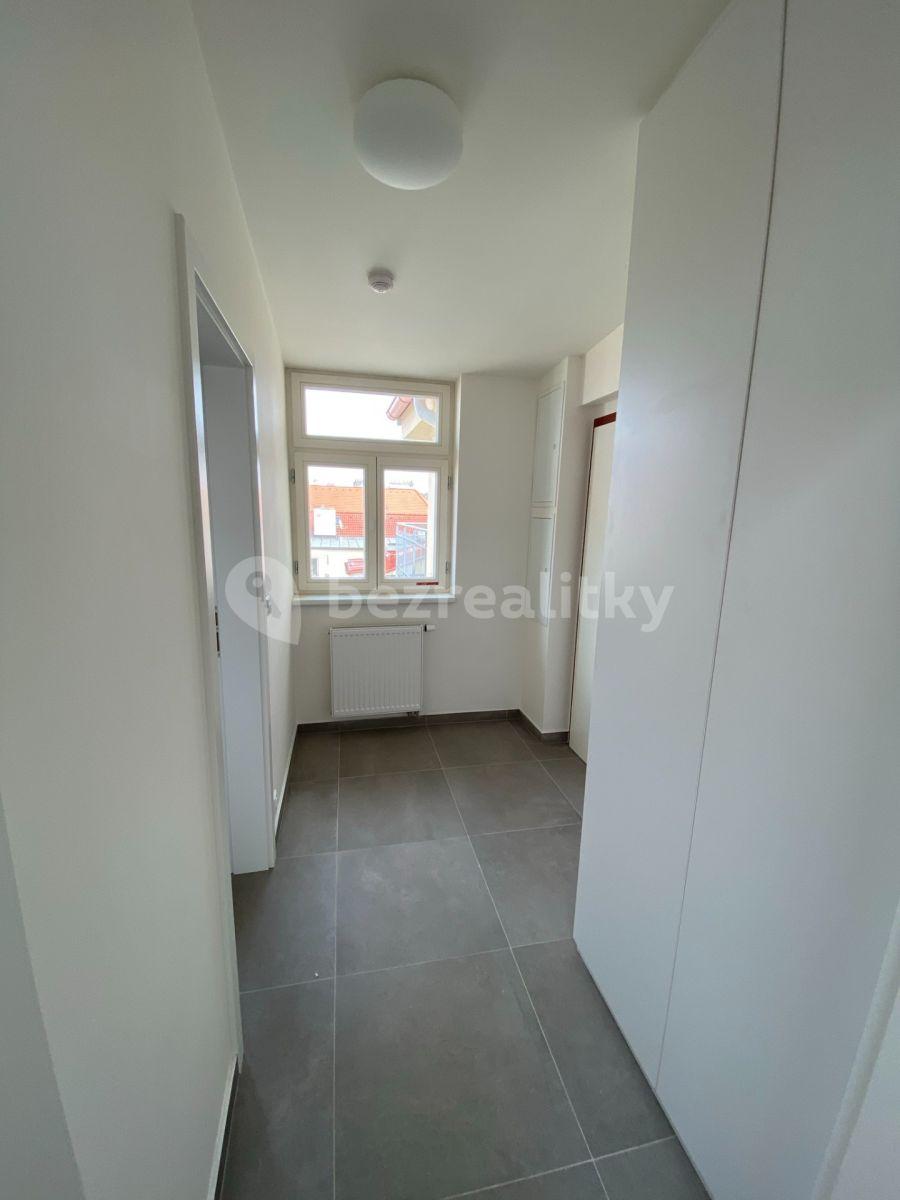 1 bedroom with open-plan kitchen flat to rent, 57 m², Šaldova, Prague, Prague