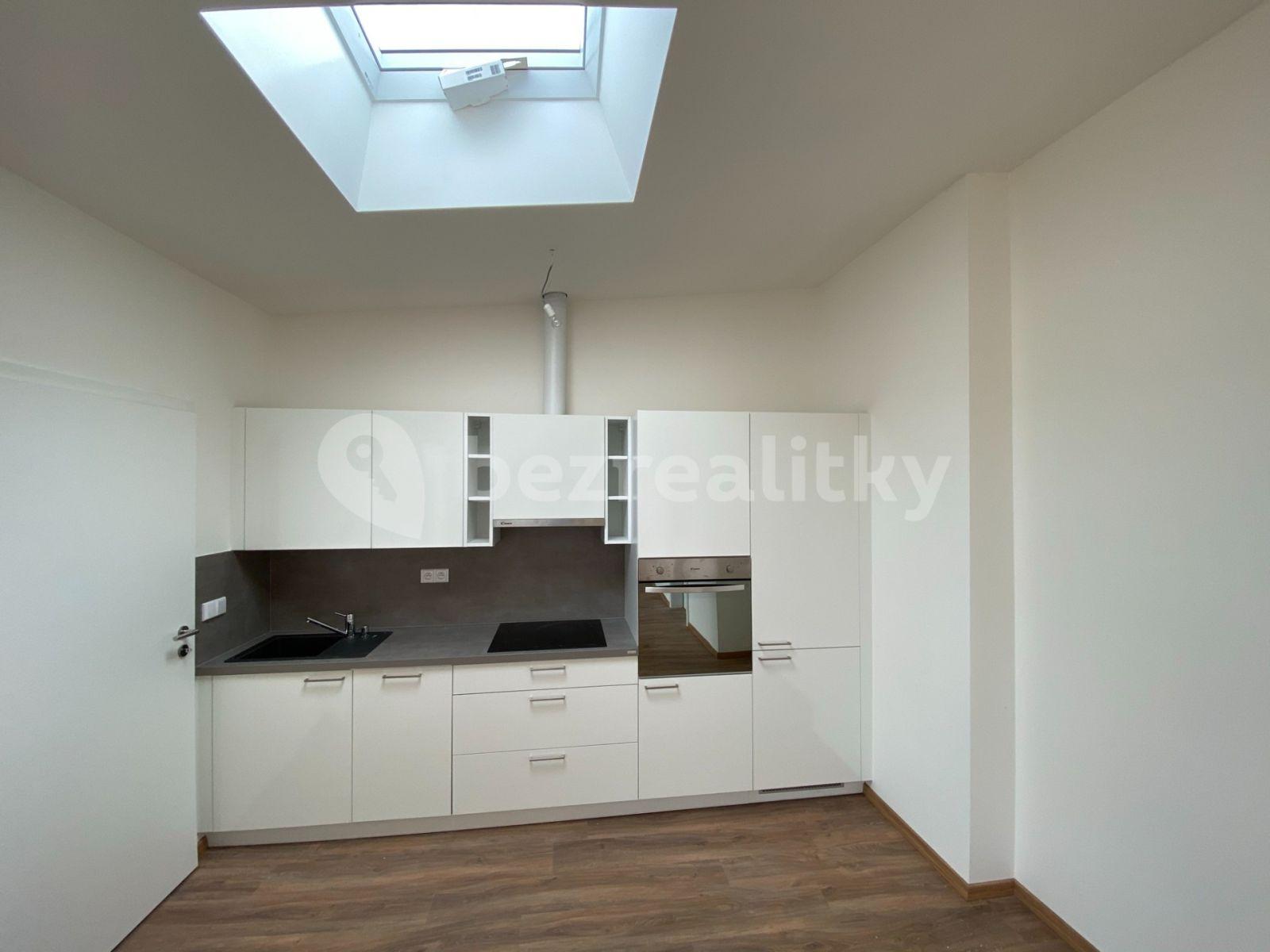 1 bedroom with open-plan kitchen flat to rent, 57 m², Šaldova, Prague, Prague