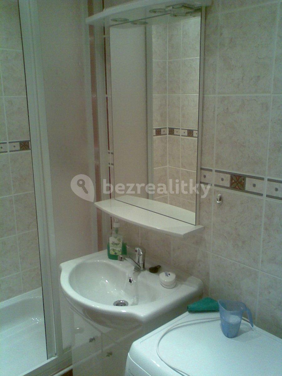 1 bedroom with open-plan kitchen flat to rent, 43 m², Bojasova, Prague, Prague