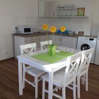 1 bedroom with open-plan kitchen flat to rent, 58 m², Ruská, Teplice, Ústecký Region