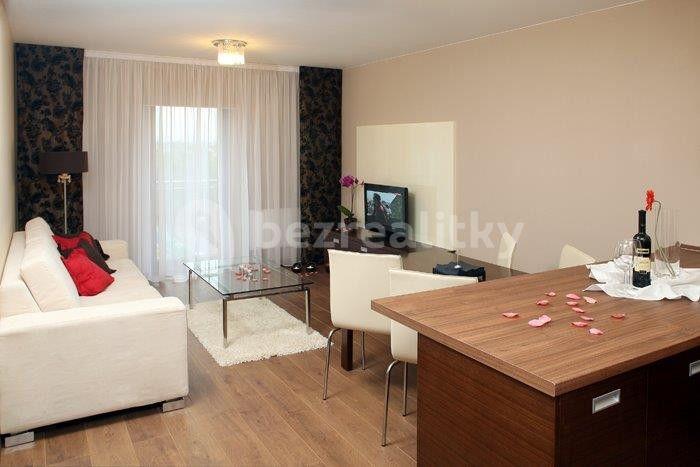 1 bedroom with open-plan kitchen flat to rent, 52 m², U Borského parku, Plzeň, Plzeňský Region