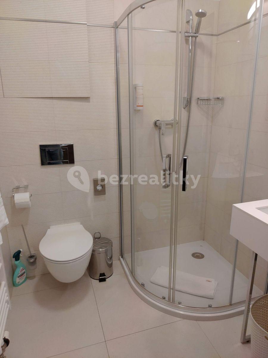 Studio flat to rent, 20 m², Legerova, Prague, Prague