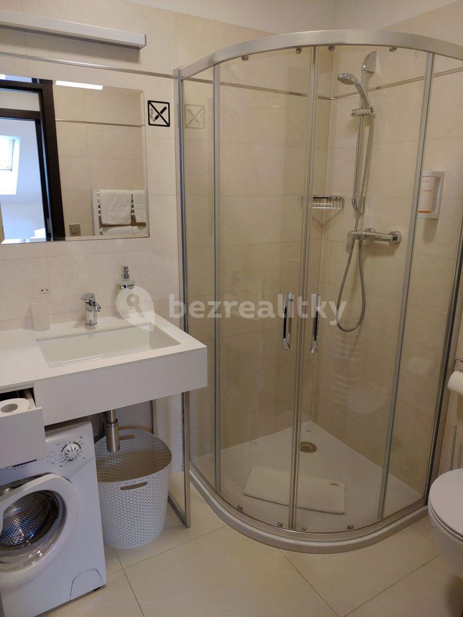 Studio flat to rent, 20 m², Legerova, Prague, Prague