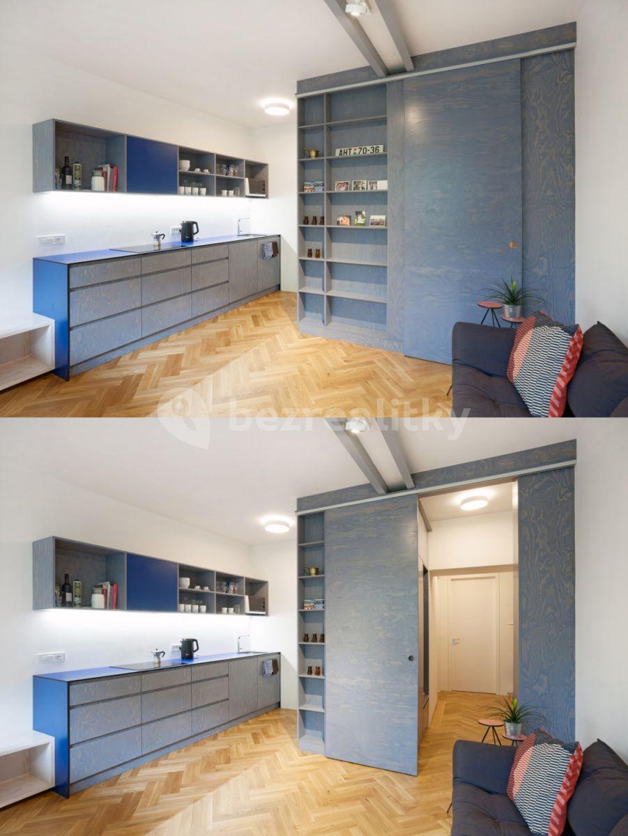 1 bedroom with open-plan kitchen flat to rent, 45 m², Pod dvorem, Prague, Prague