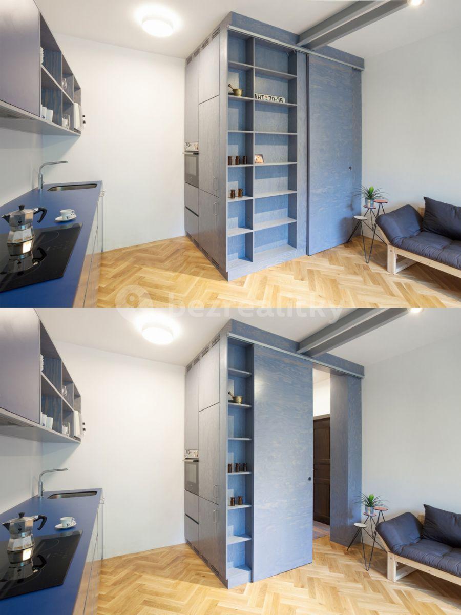 1 bedroom with open-plan kitchen flat to rent, 45 m², Pod dvorem, Prague, Prague