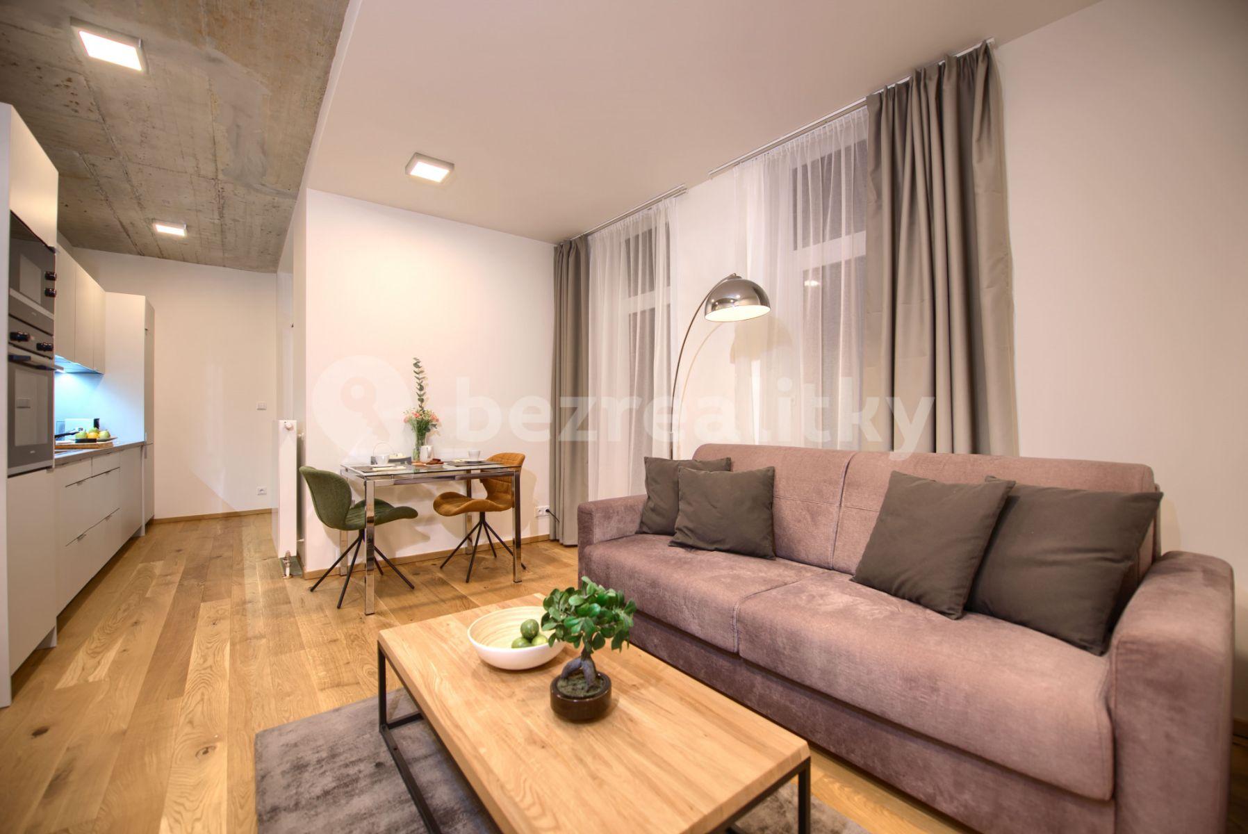 1 bedroom with open-plan kitchen flat to rent, 50 m², Soukenická, Prague, Prague