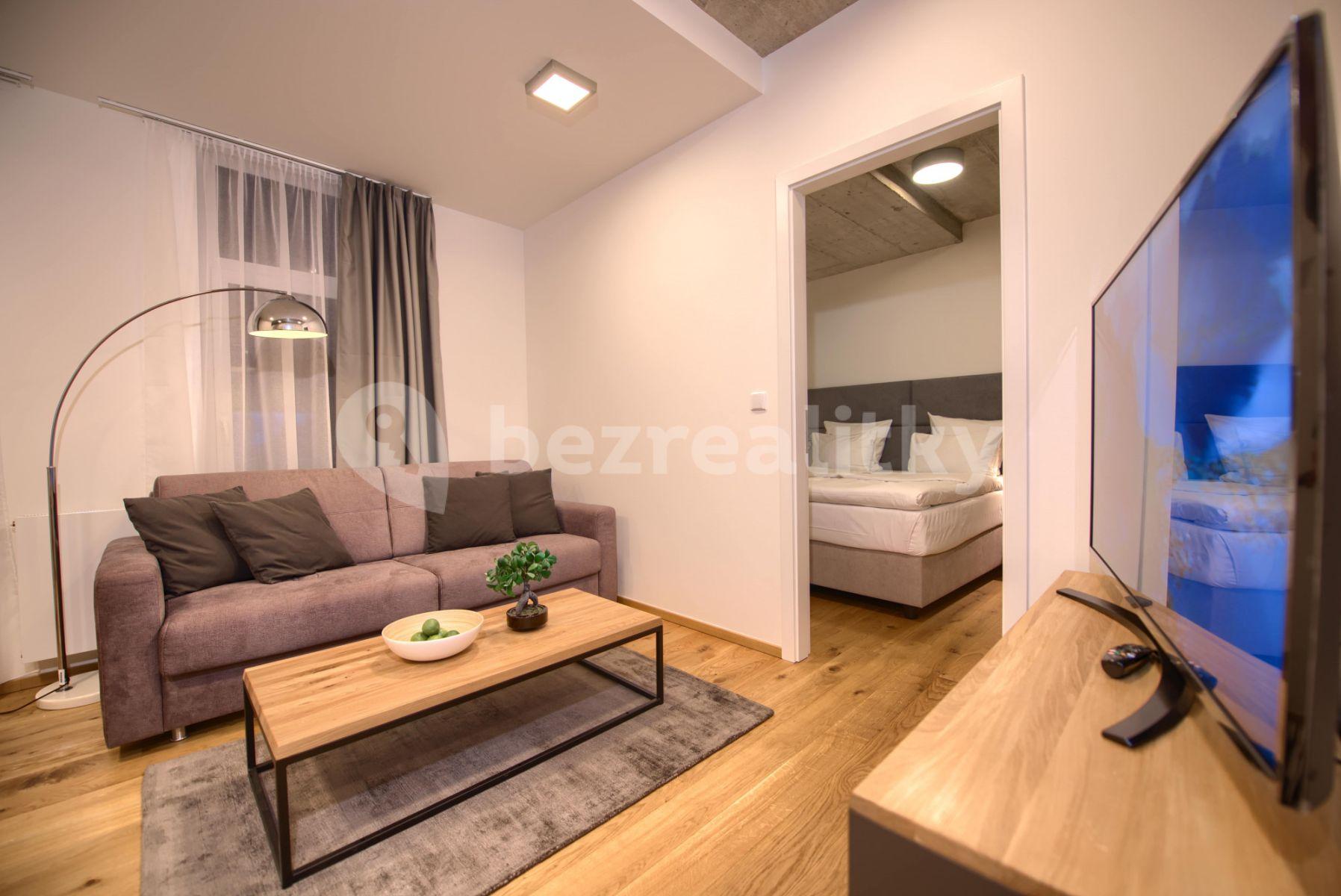 1 bedroom with open-plan kitchen flat to rent, 50 m², Soukenická, Prague, Prague