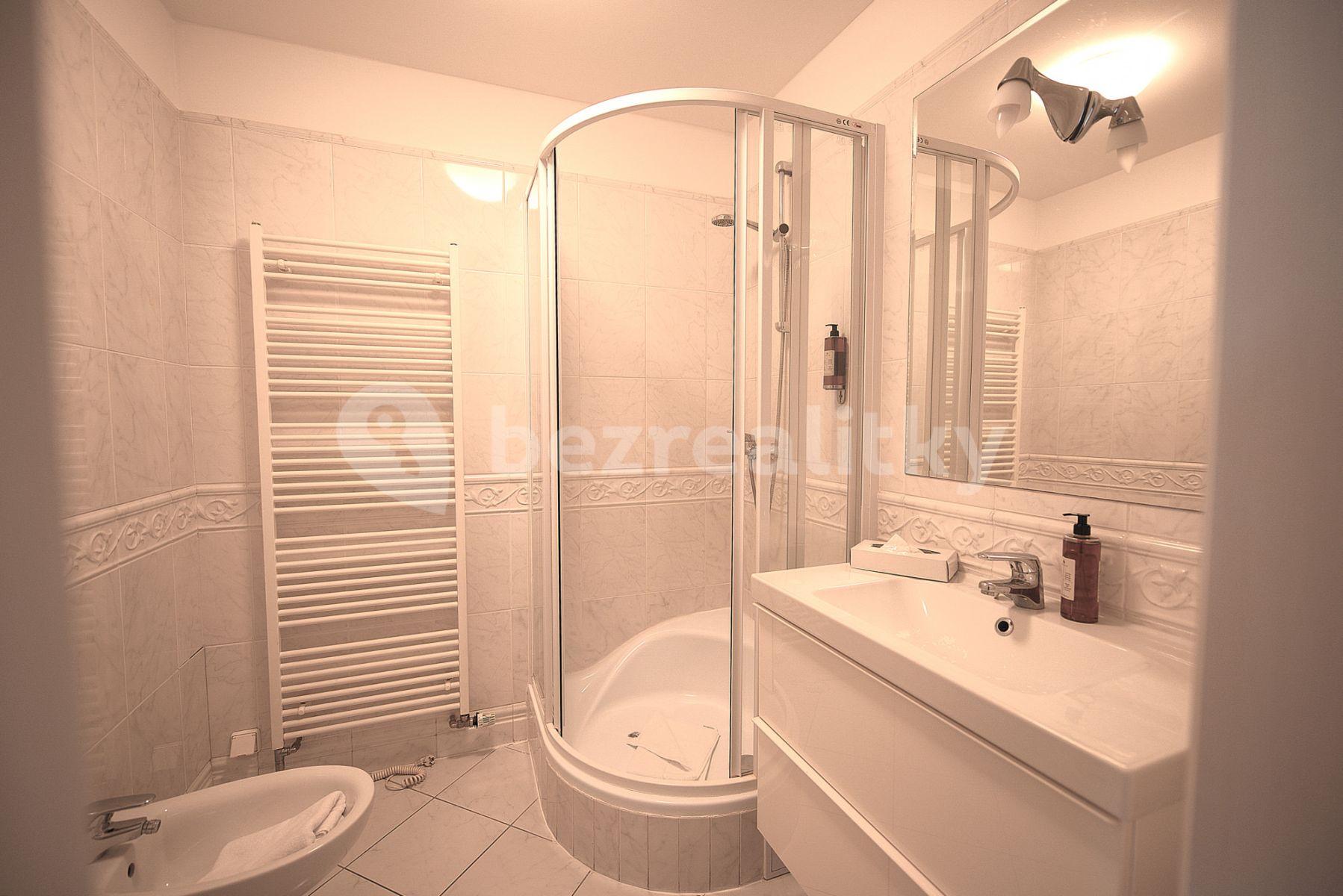 1 bedroom with open-plan kitchen flat to rent, 80 m², Dušní, Prague, Prague