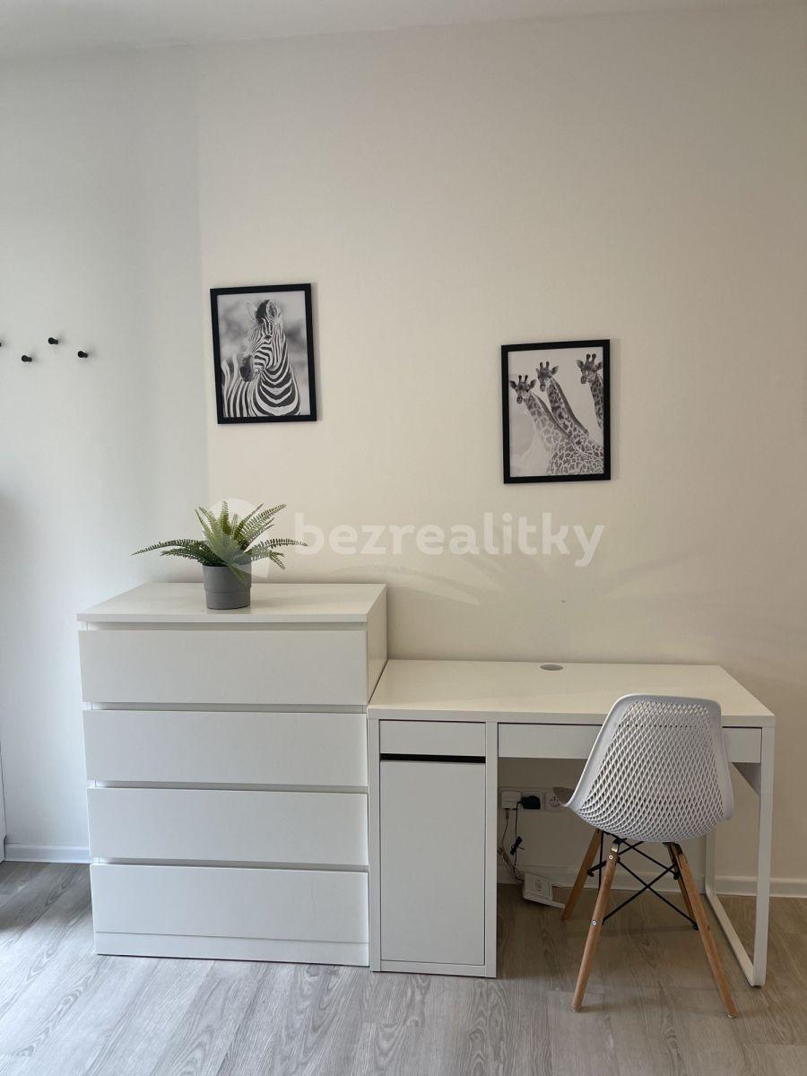 Studio flat to rent, 14 m², Koněvova, Prague, Prague