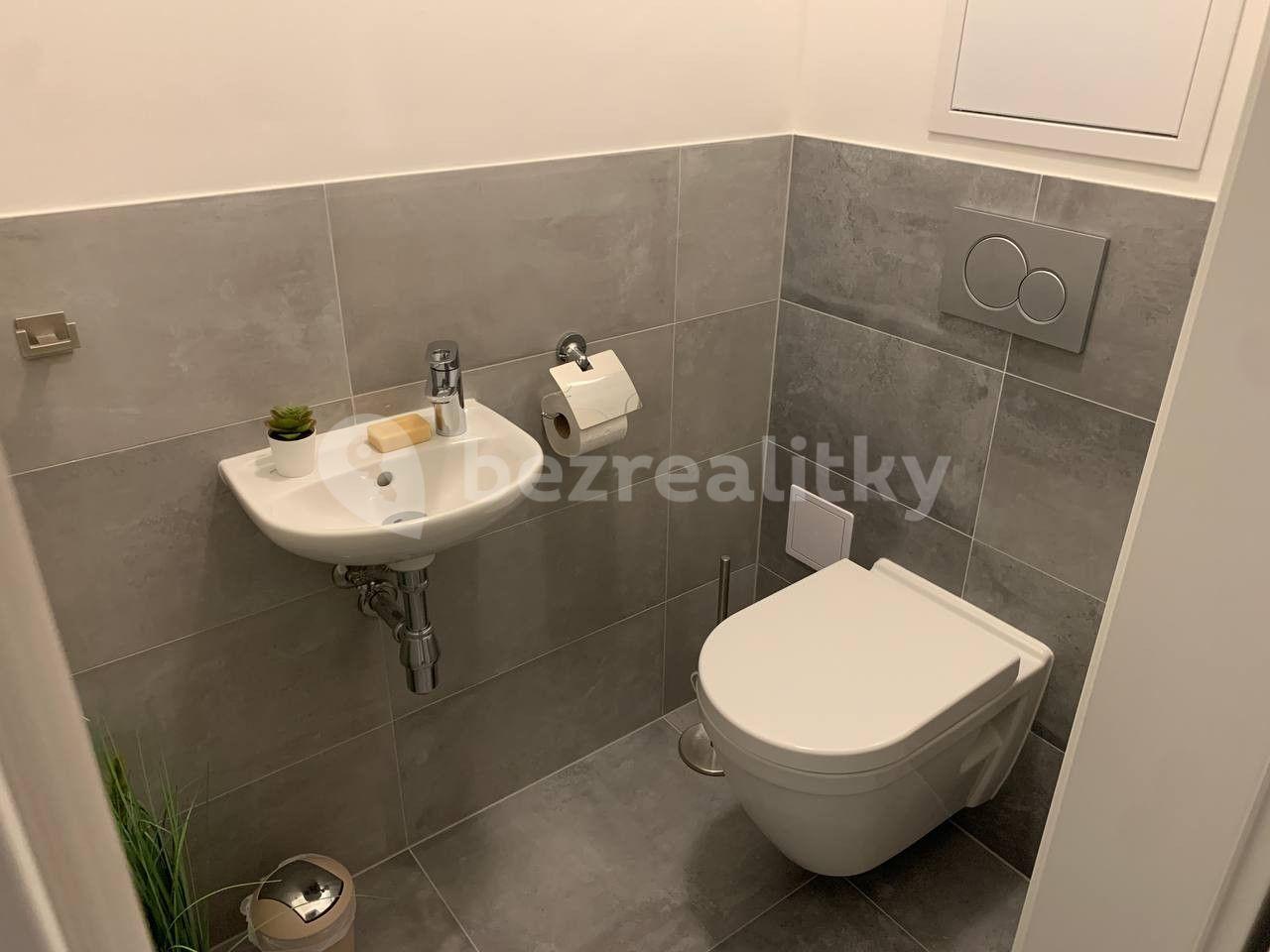 1 bedroom with open-plan kitchen flat to rent, 80 m², Zapova, Prague, Prague