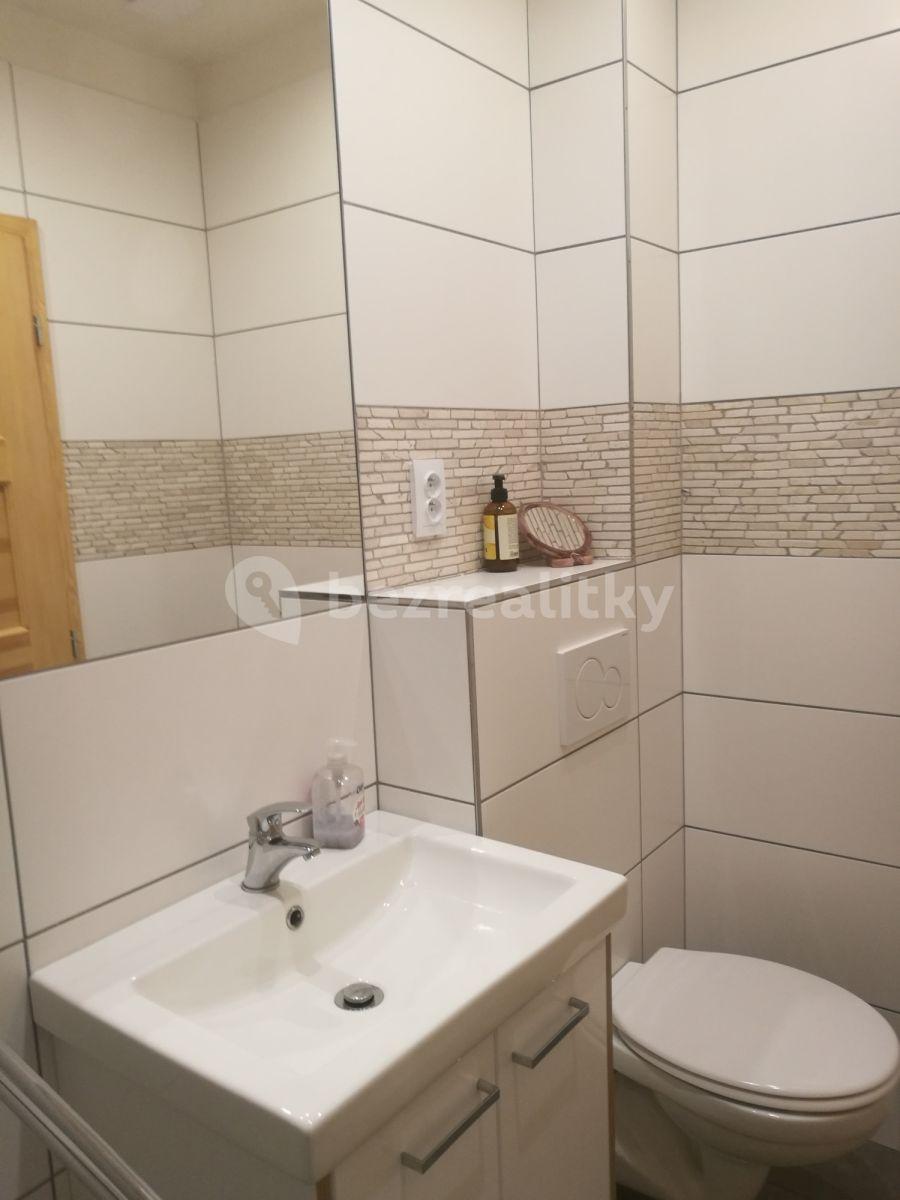 1 bedroom with open-plan kitchen flat to rent, 52 m², Husinecká, Prague, Prague