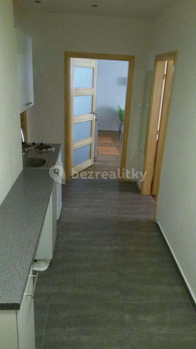 1 bedroom with open-plan kitchen flat to rent, 52 m², Husinecká, Prague, Prague