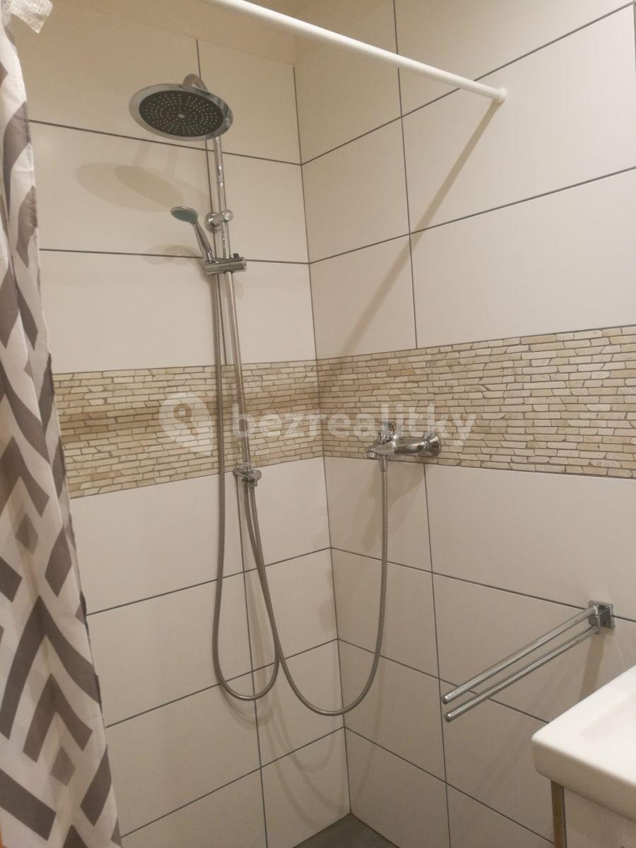 1 bedroom with open-plan kitchen flat to rent, 52 m², Husinecká, Prague, Prague