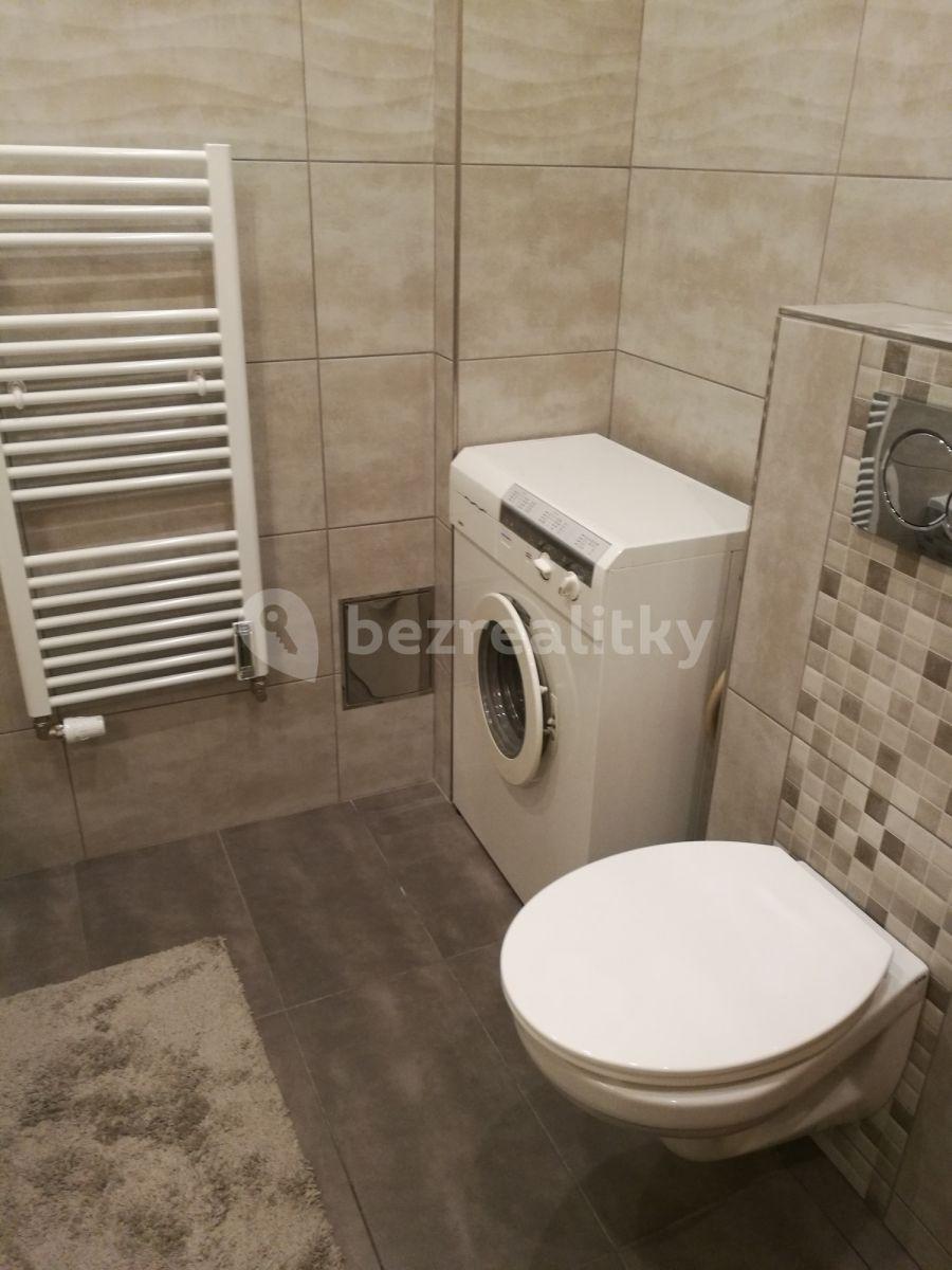 1 bedroom with open-plan kitchen flat to rent, 52 m², Husinecká, Prague, Prague