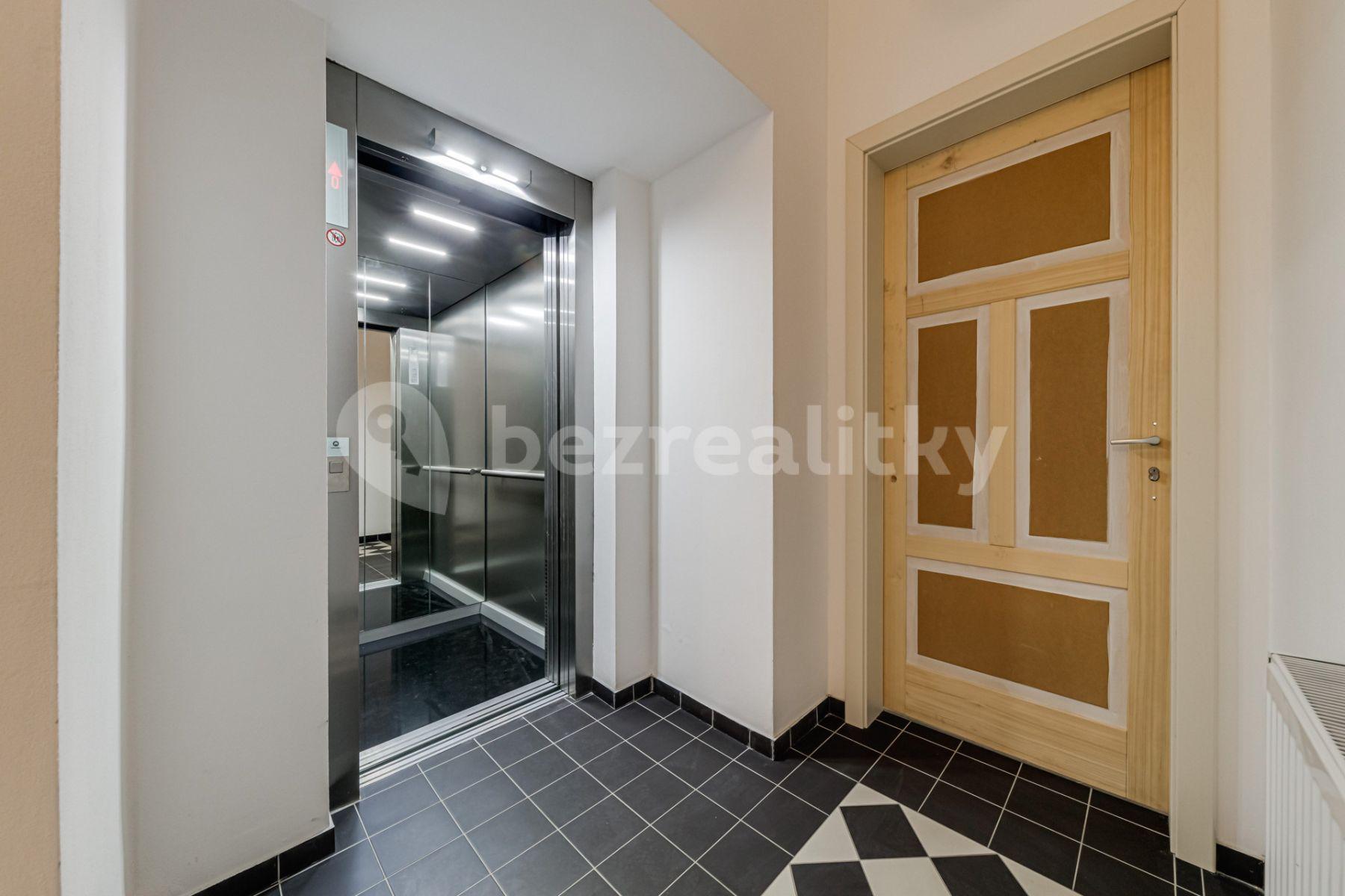 1 bedroom with open-plan kitchen flat to rent, 60 m², Mečislavova, Prague, Prague