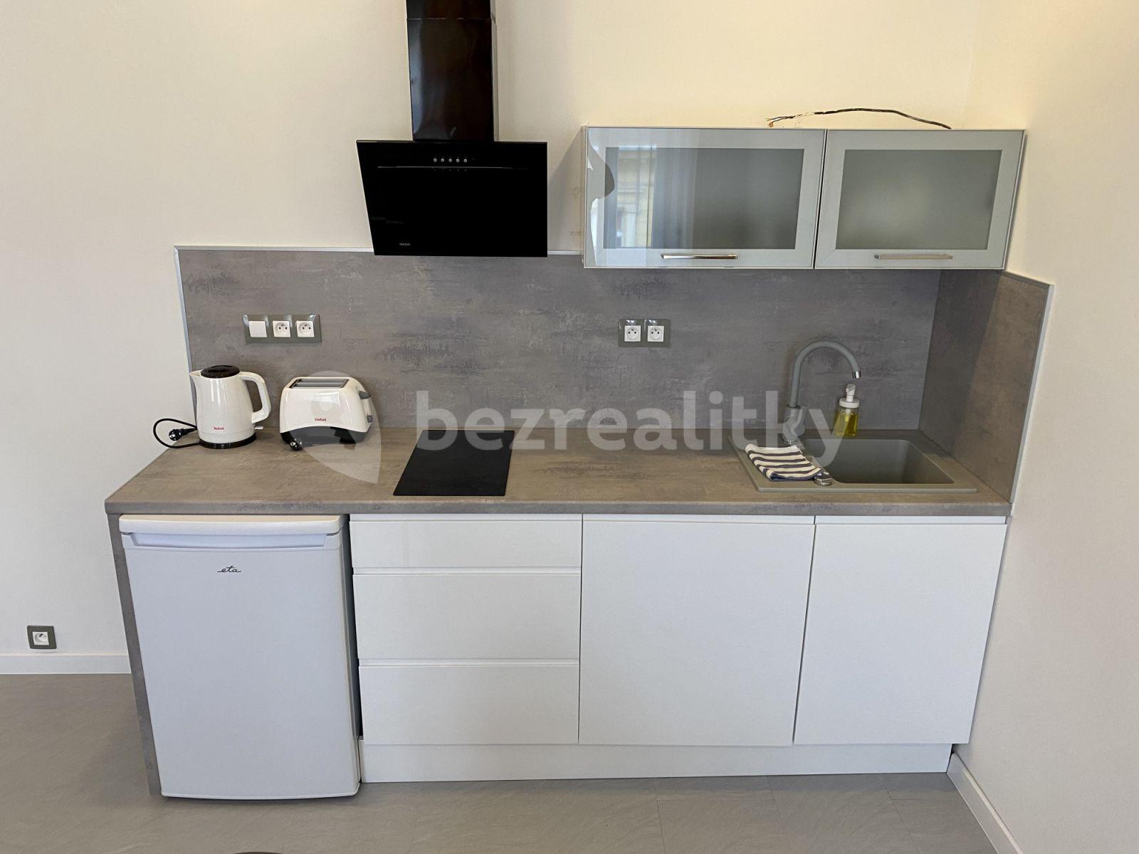 1 bedroom with open-plan kitchen flat to rent, 60 m², Mečislavova, Prague, Prague