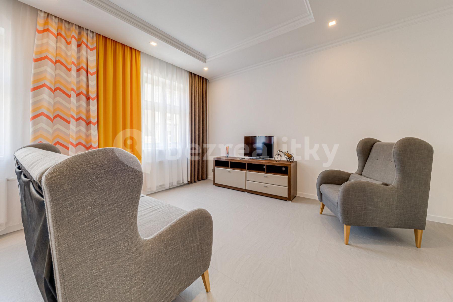 1 bedroom with open-plan kitchen flat to rent, 60 m², Mečislavova, Prague, Prague