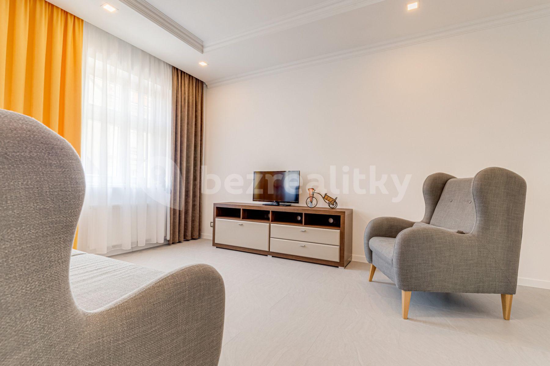 1 bedroom with open-plan kitchen flat to rent, 60 m², Mečislavova, Prague, Prague