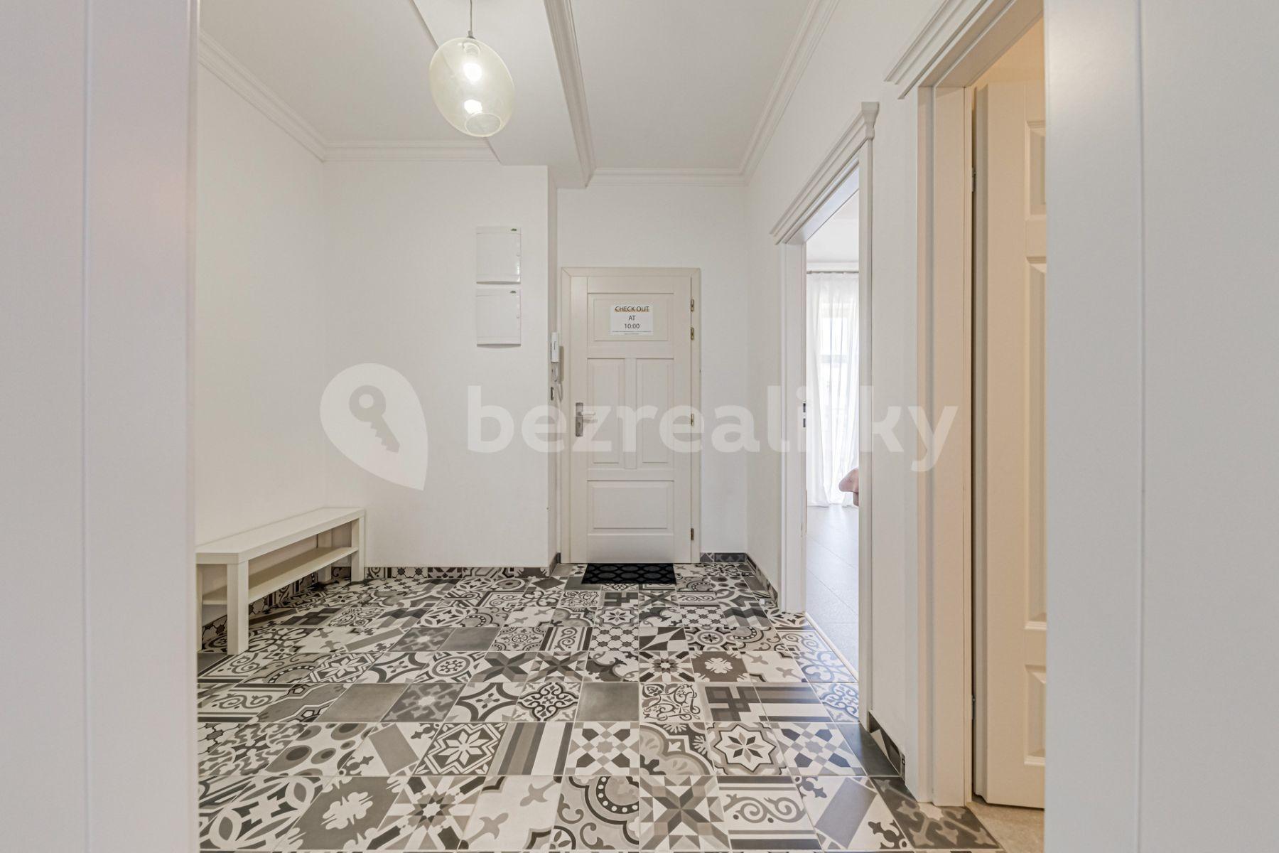 1 bedroom with open-plan kitchen flat to rent, 60 m², Mečislavova, Prague, Prague