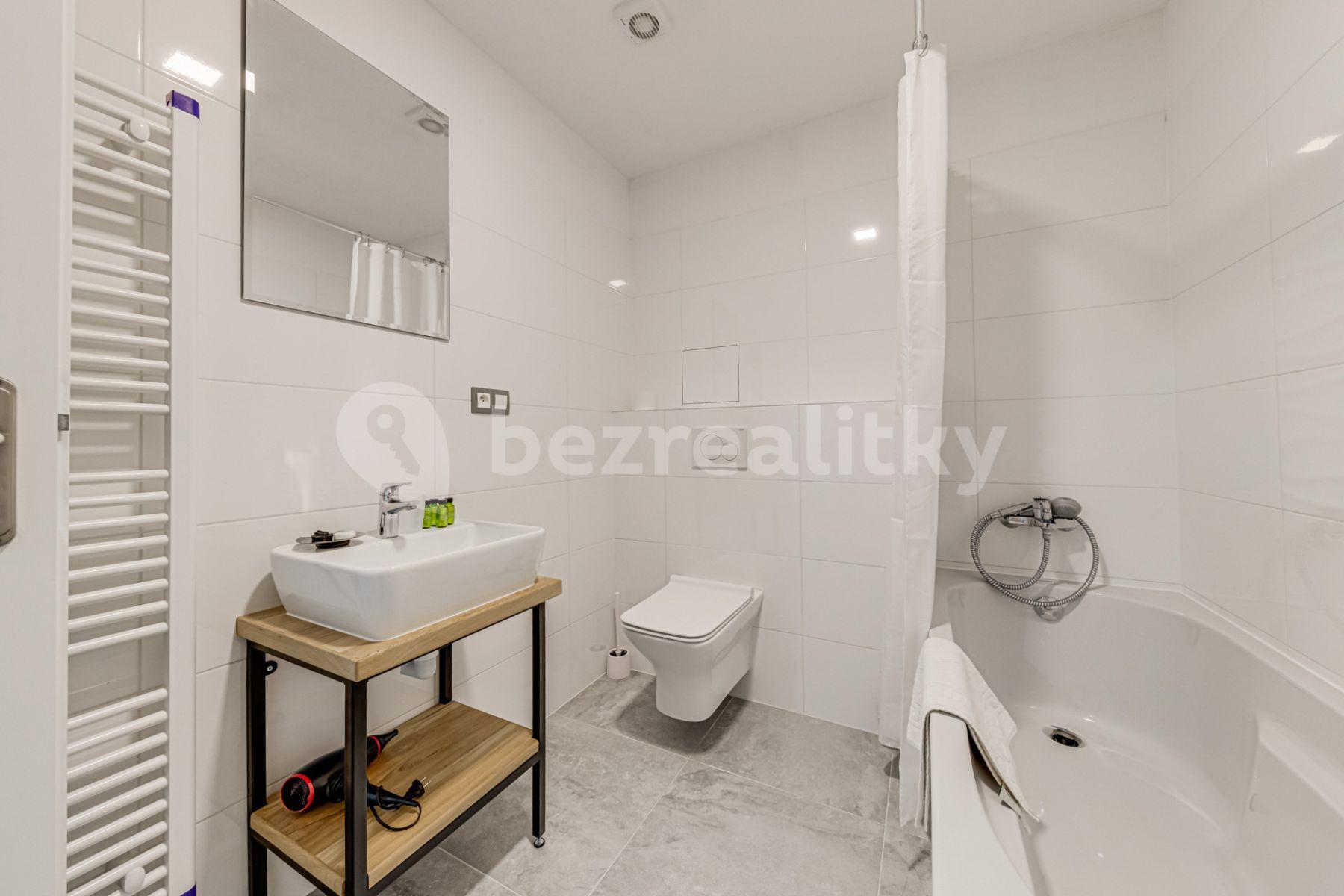 1 bedroom with open-plan kitchen flat to rent, 60 m², Mečislavova, Prague, Prague