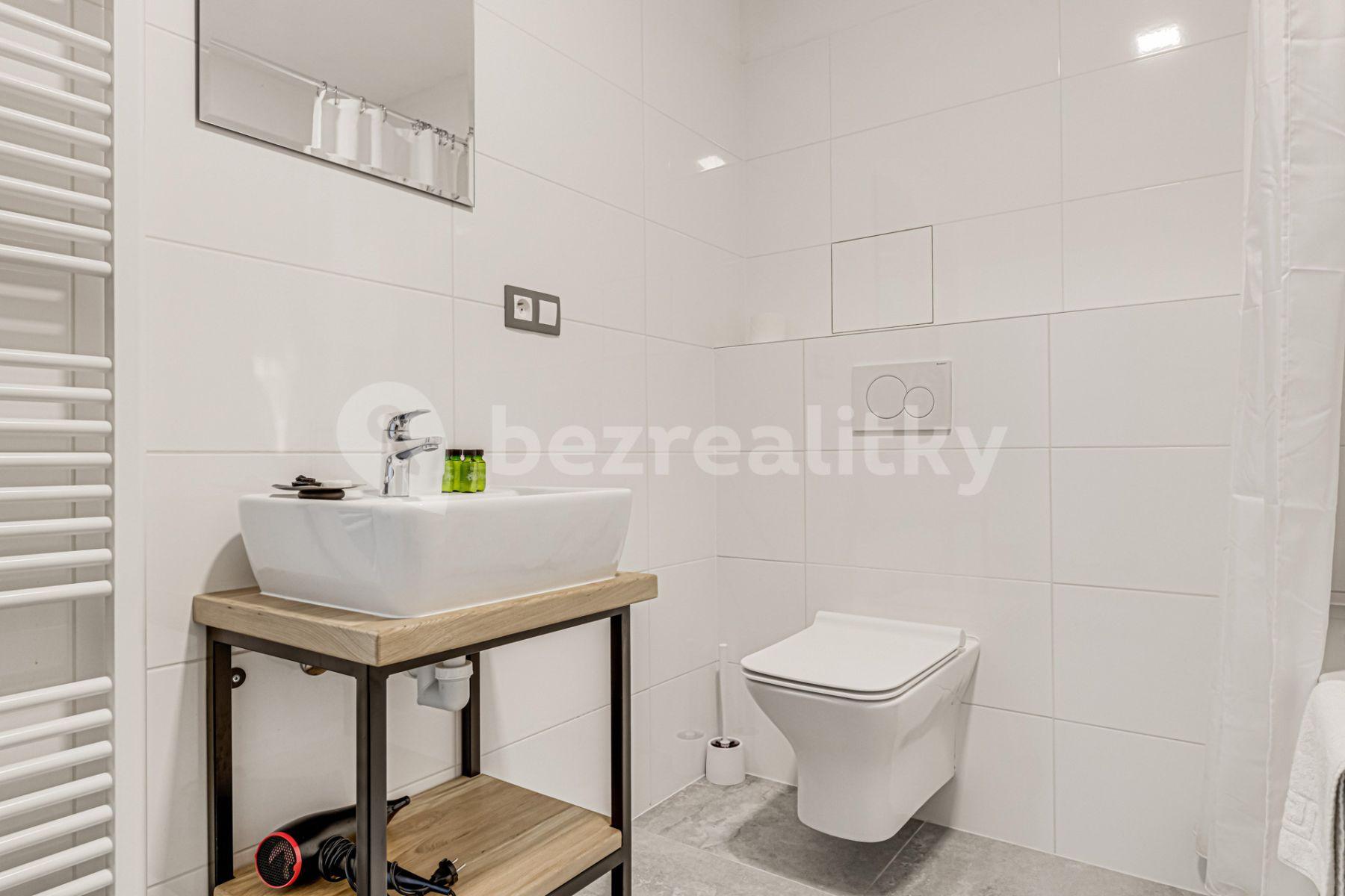 1 bedroom with open-plan kitchen flat to rent, 60 m², Mečislavova, Prague, Prague