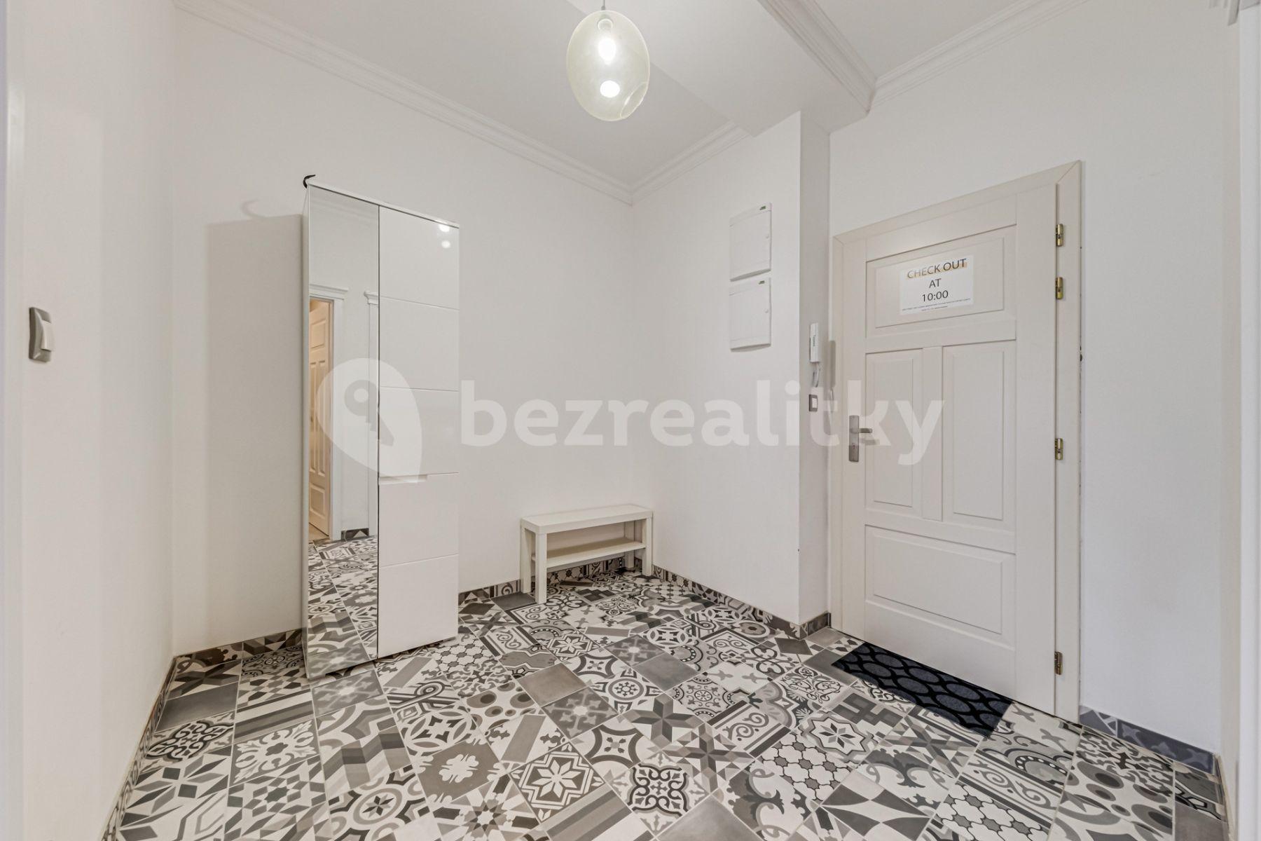 1 bedroom with open-plan kitchen flat to rent, 60 m², Mečislavova, Prague, Prague