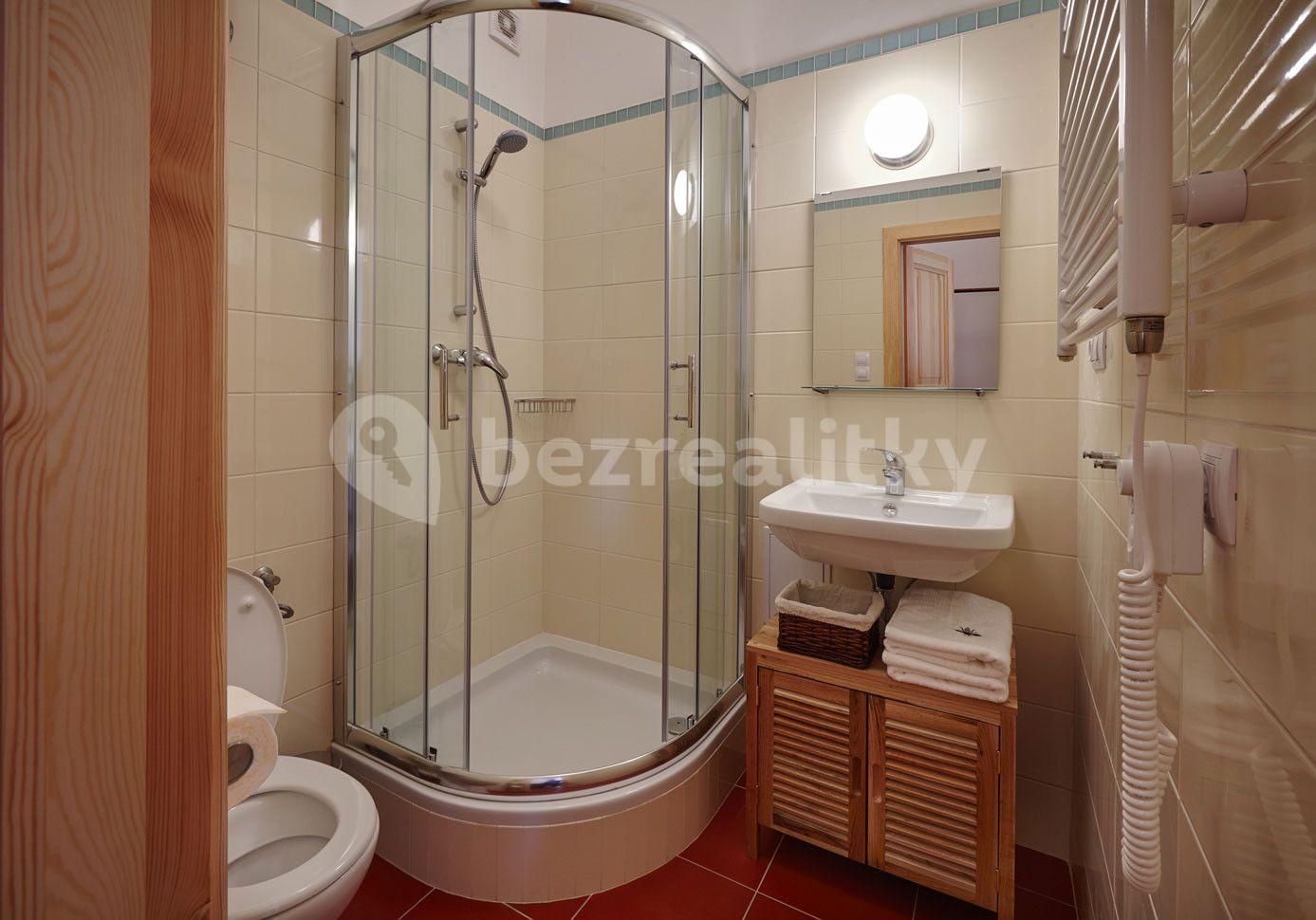 Studio flat to rent, 35 m², Míšeňská, Prague, Prague