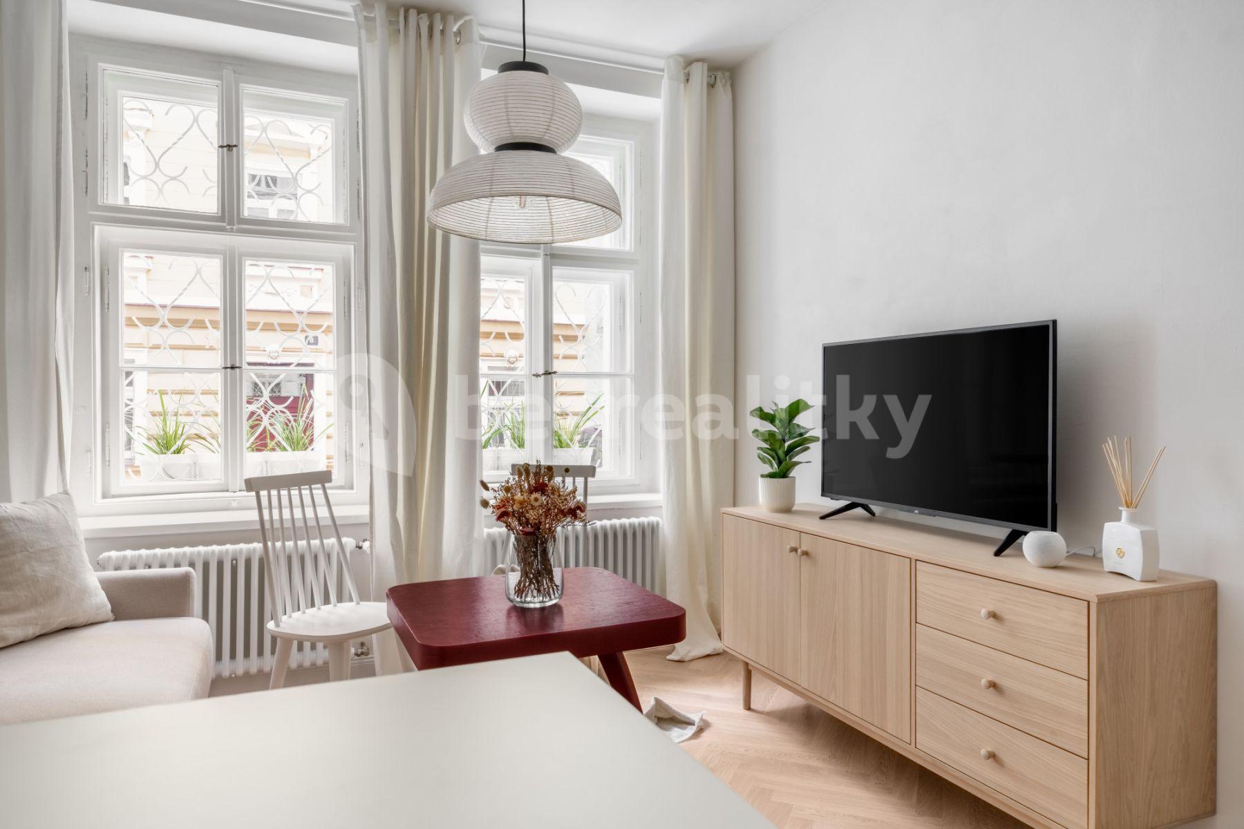 1 bedroom with open-plan kitchen flat to rent, 35 m², Sevastopolská, Prague, Prague