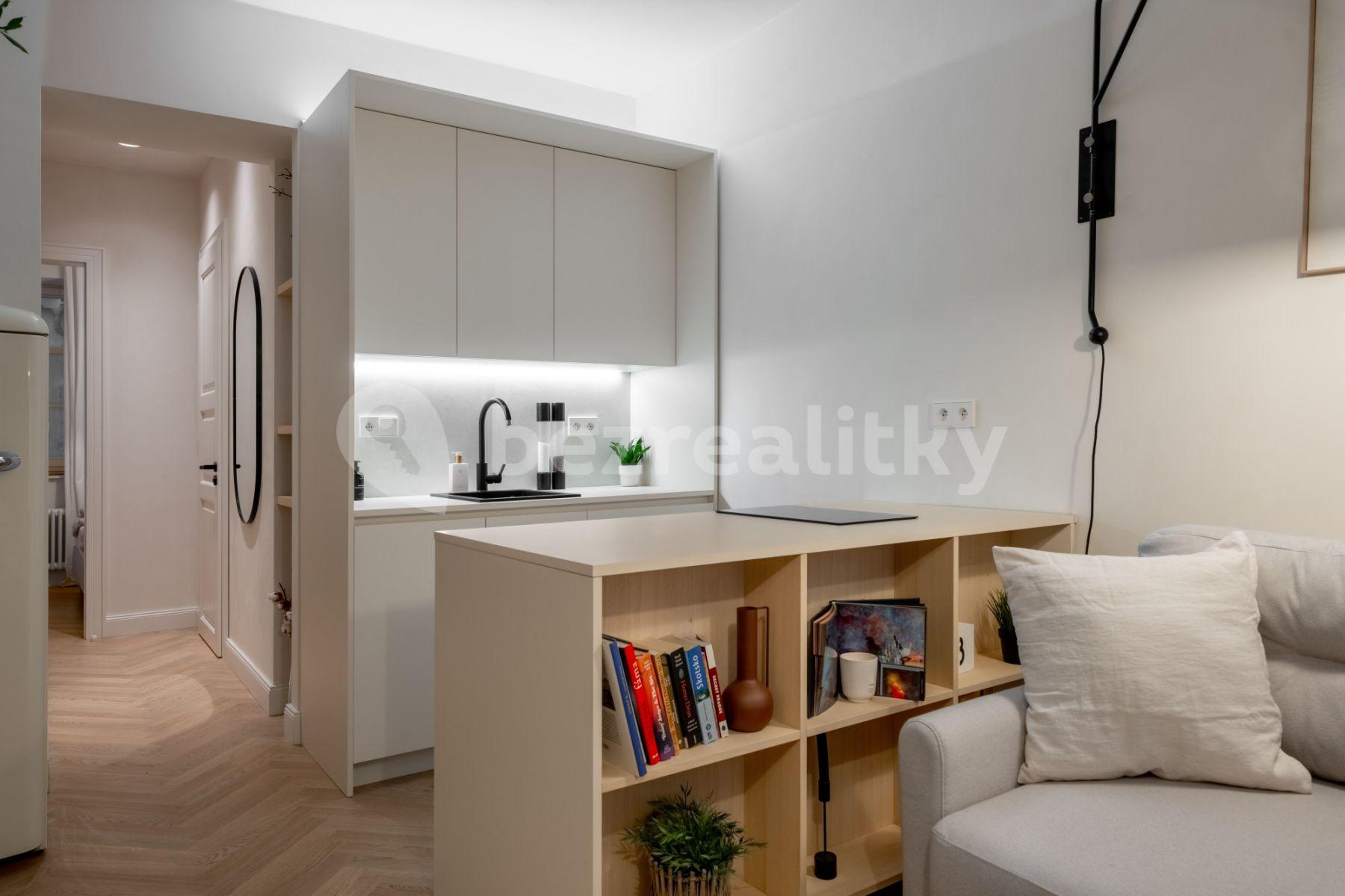 1 bedroom with open-plan kitchen flat to rent, 35 m², Sevastopolská, Prague, Prague