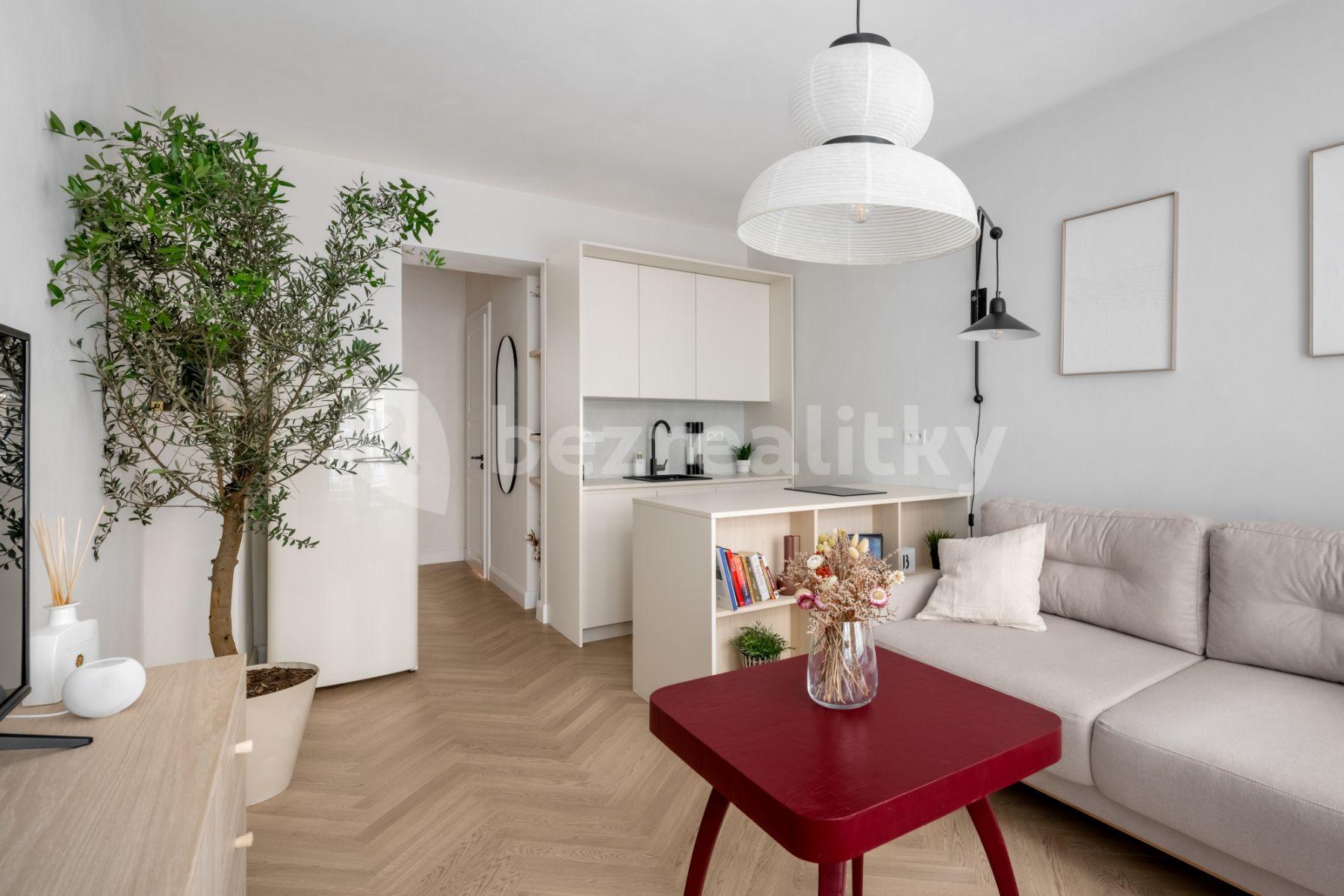 1 bedroom with open-plan kitchen flat to rent, 35 m², Sevastopolská, Prague, Prague