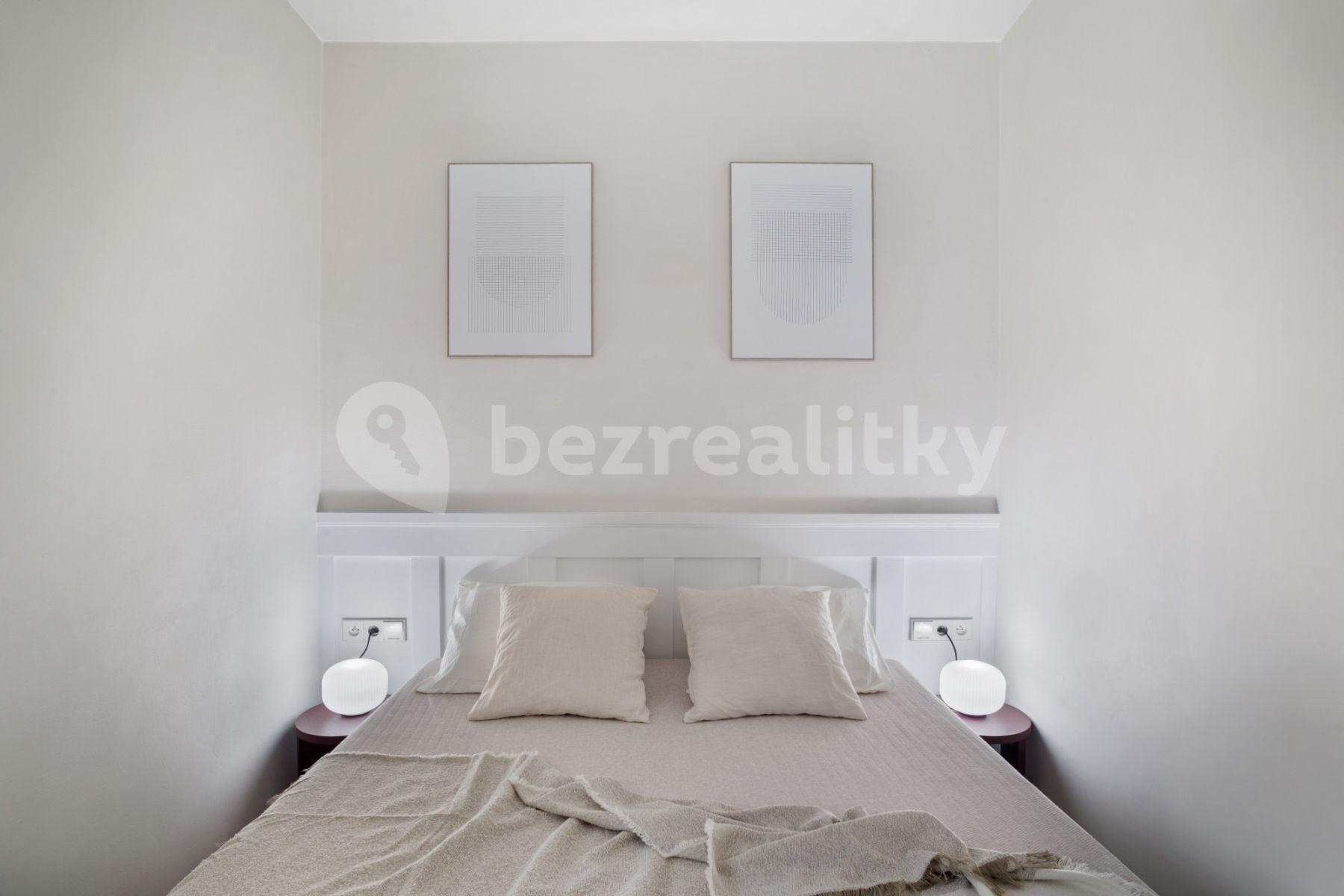 1 bedroom with open-plan kitchen flat to rent, 35 m², Sevastopolská, Prague, Prague