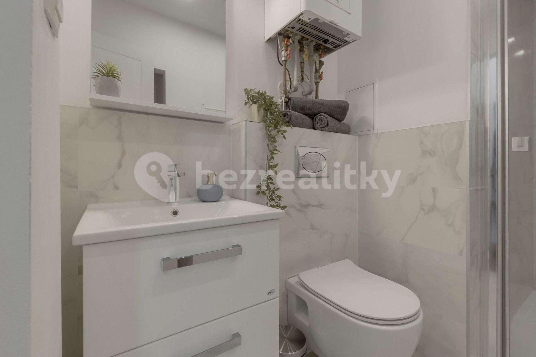 1 bedroom with open-plan kitchen flat to rent, 45 m², Kaizlovy sady, Prague, Prague