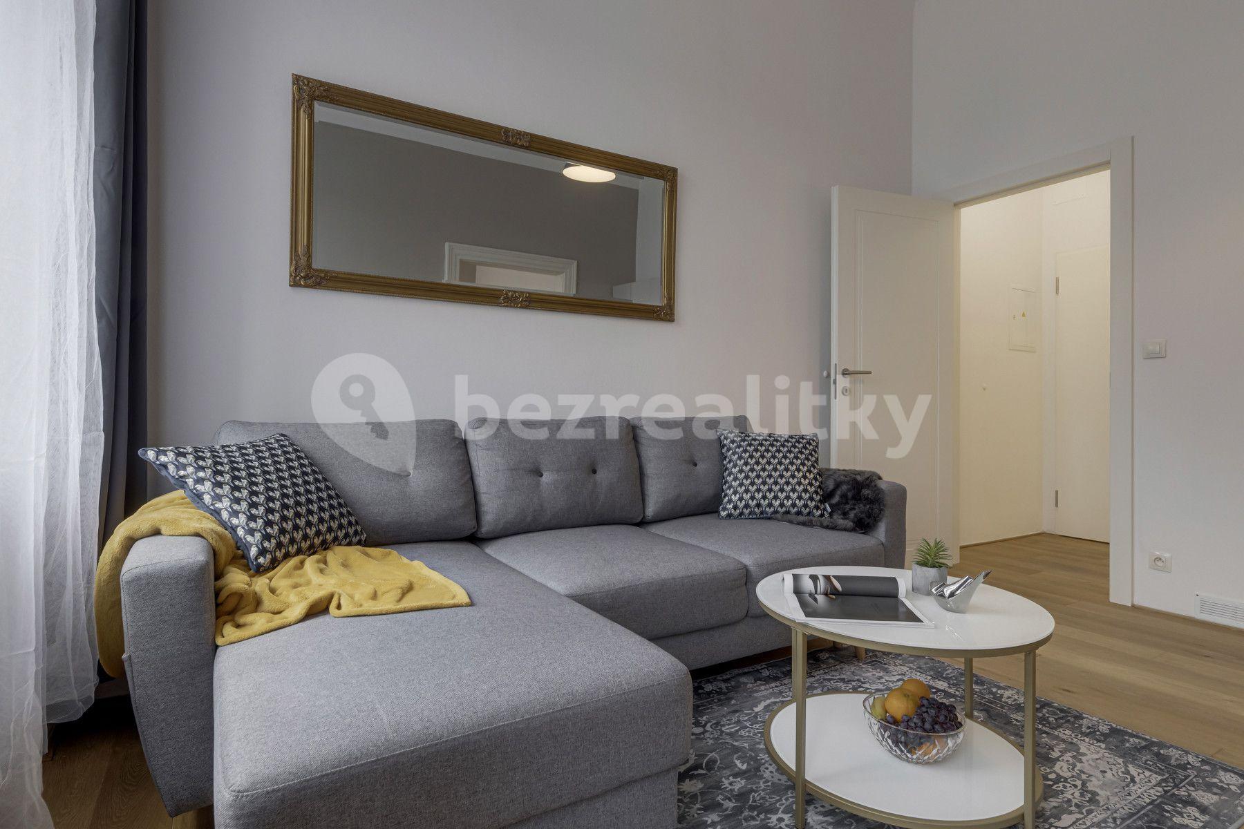 1 bedroom with open-plan kitchen flat to rent, 45 m², Kaizlovy sady, Prague, Prague