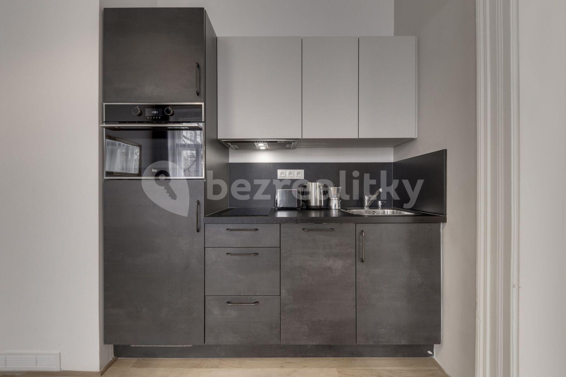 1 bedroom with open-plan kitchen flat to rent, 45 m², Kaizlovy sady, Prague, Prague