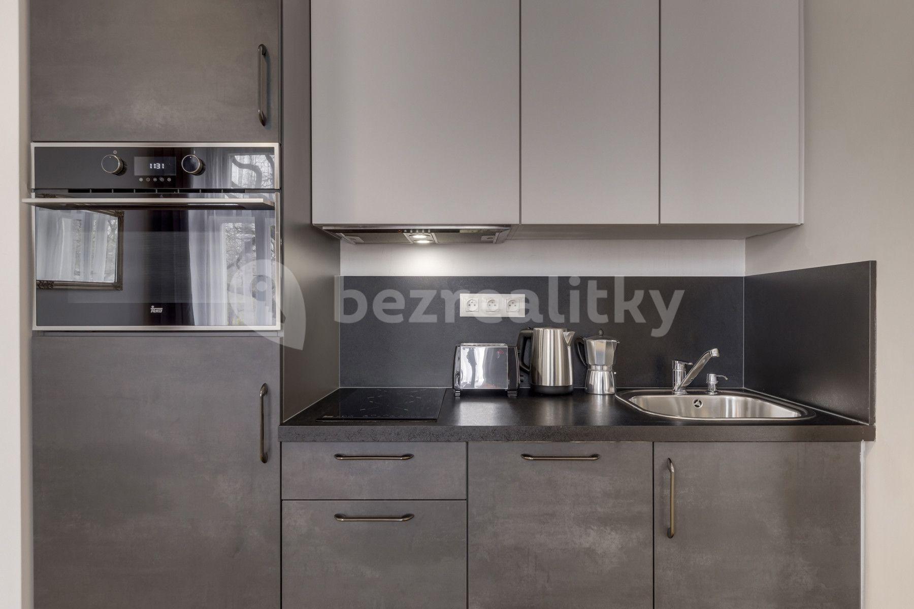 1 bedroom with open-plan kitchen flat to rent, 45 m², Kaizlovy sady, Prague, Prague