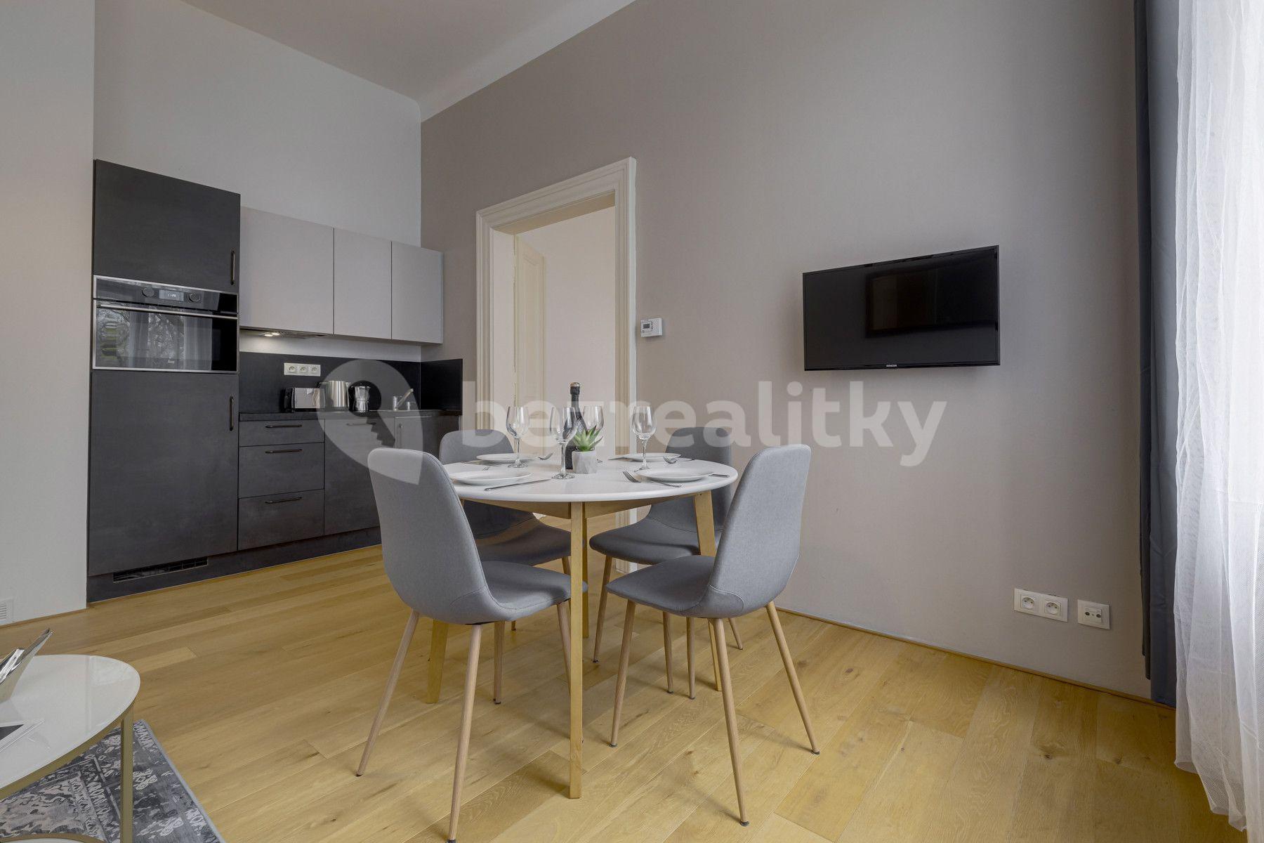 1 bedroom with open-plan kitchen flat to rent, 45 m², Kaizlovy sady, Prague, Prague