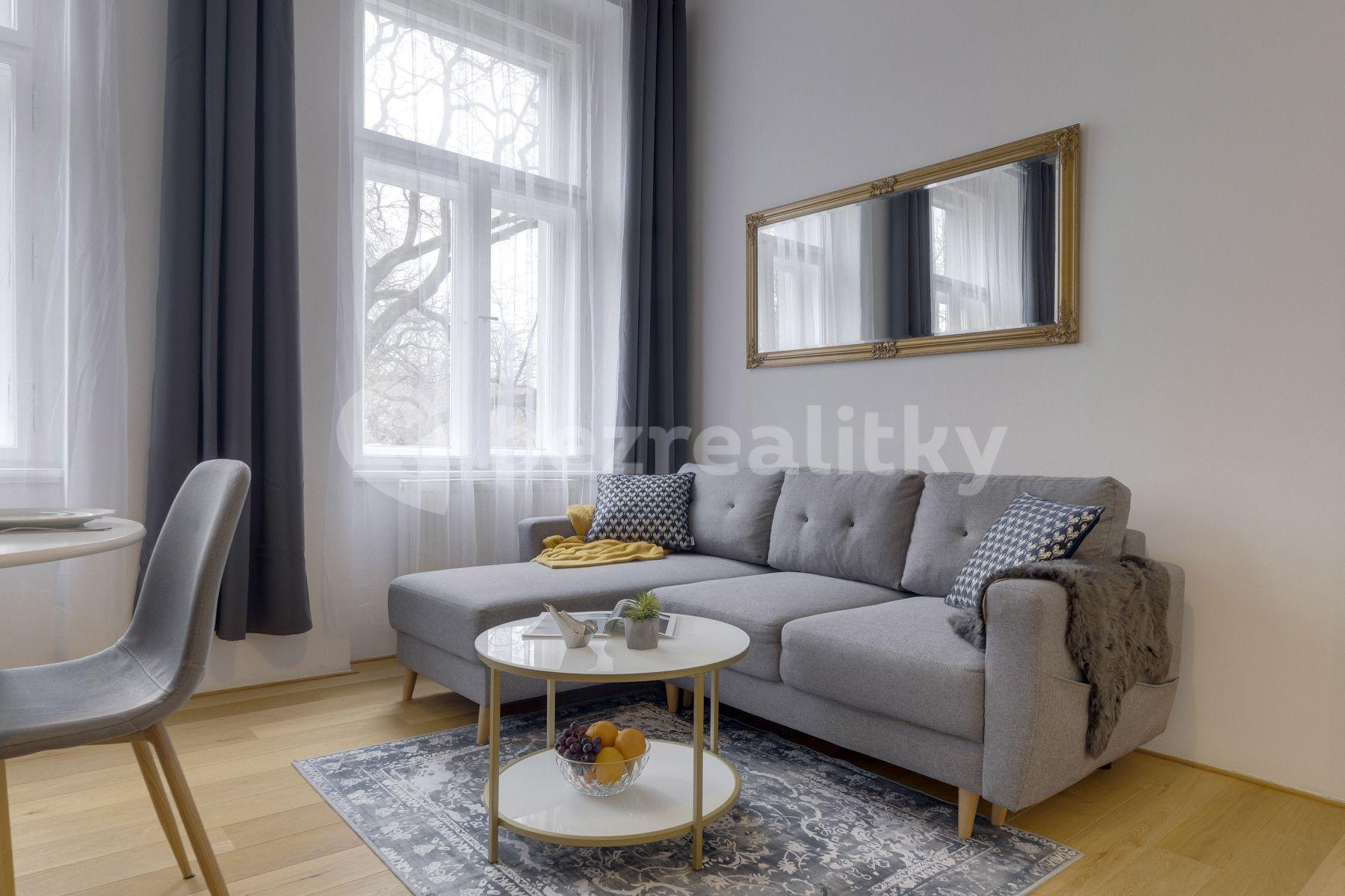 1 bedroom with open-plan kitchen flat to rent, 45 m², Kaizlovy sady, Prague, Prague