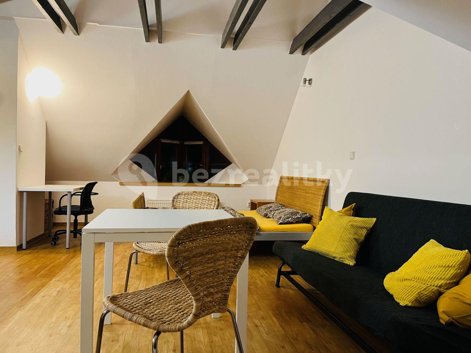 Studio flat to rent, 32 m², Červený kopec A, Brno, Jihomoravský Region