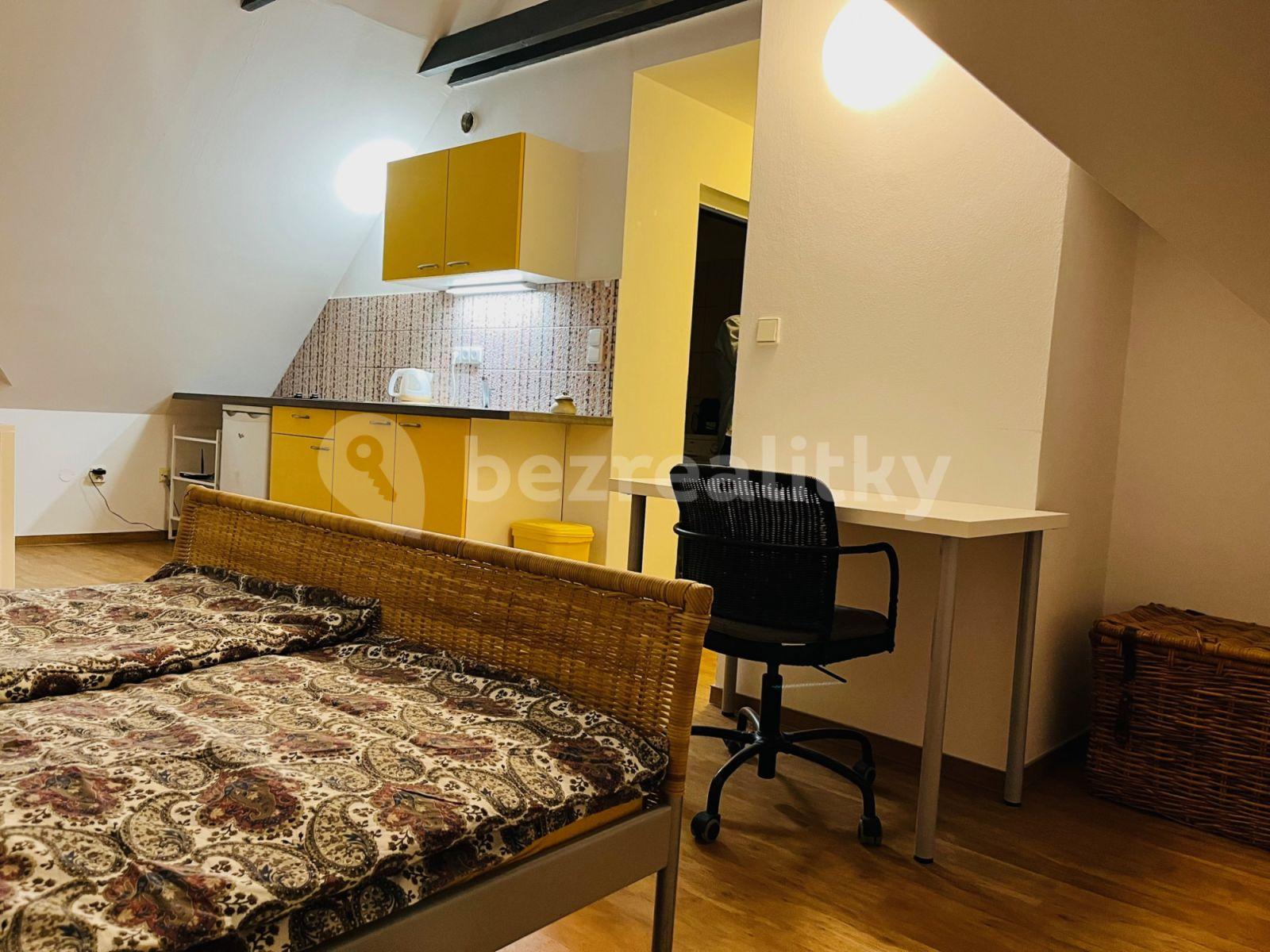 Studio flat to rent, 32 m², Červený kopec A, Brno, Jihomoravský Region