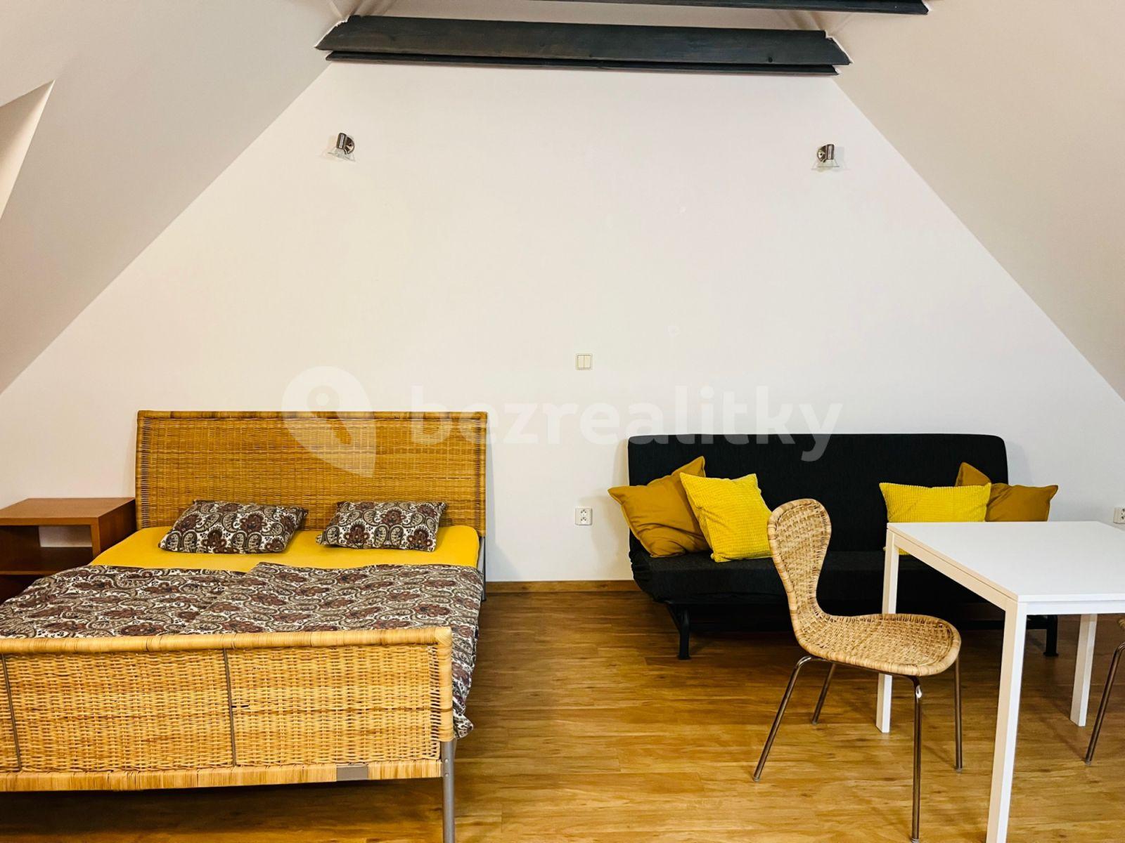 Studio flat to rent, 32 m², Červený kopec A, Brno, Jihomoravský Region