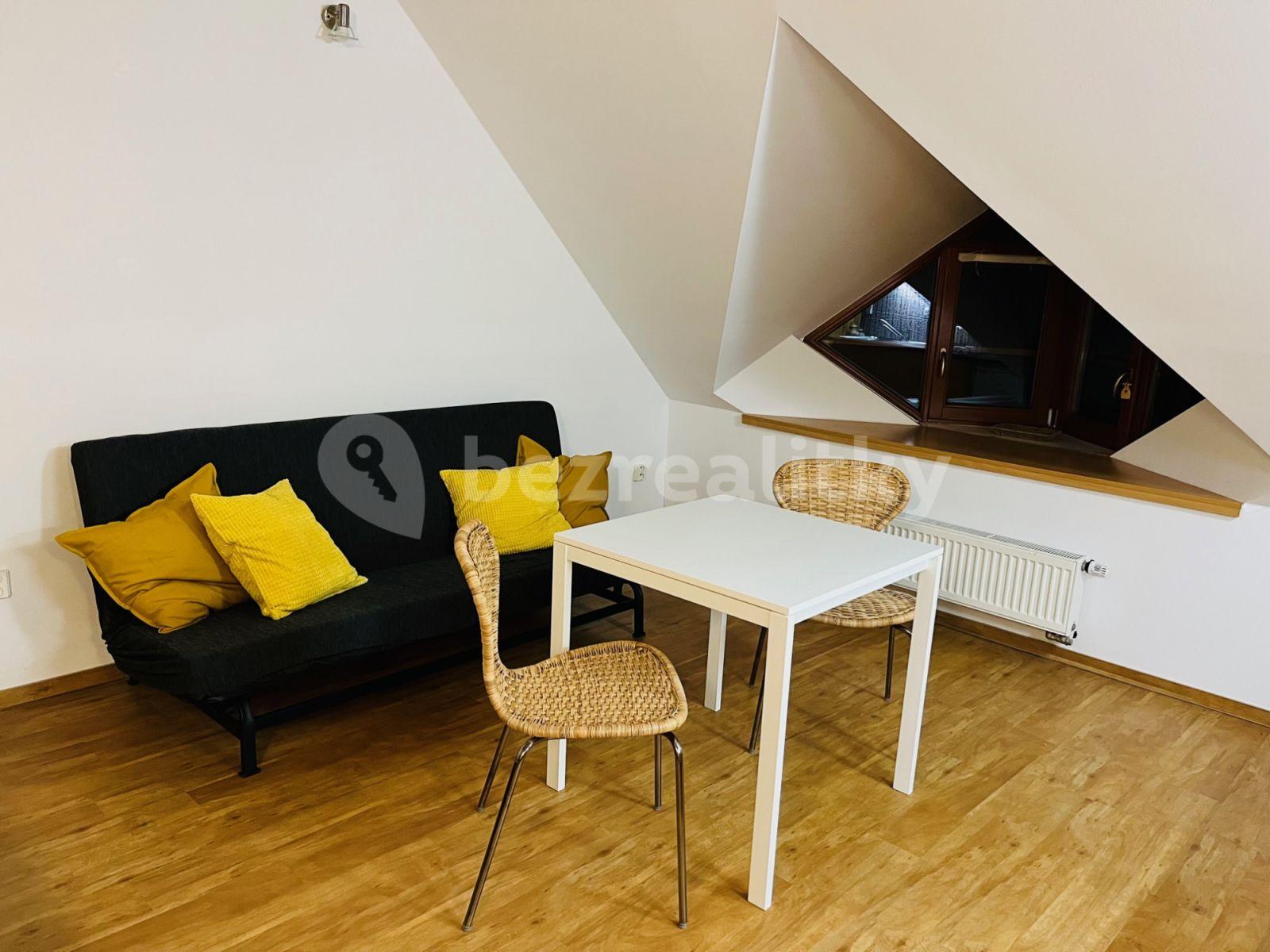 Studio flat to rent, 32 m², Červený kopec A, Brno, Jihomoravský Region