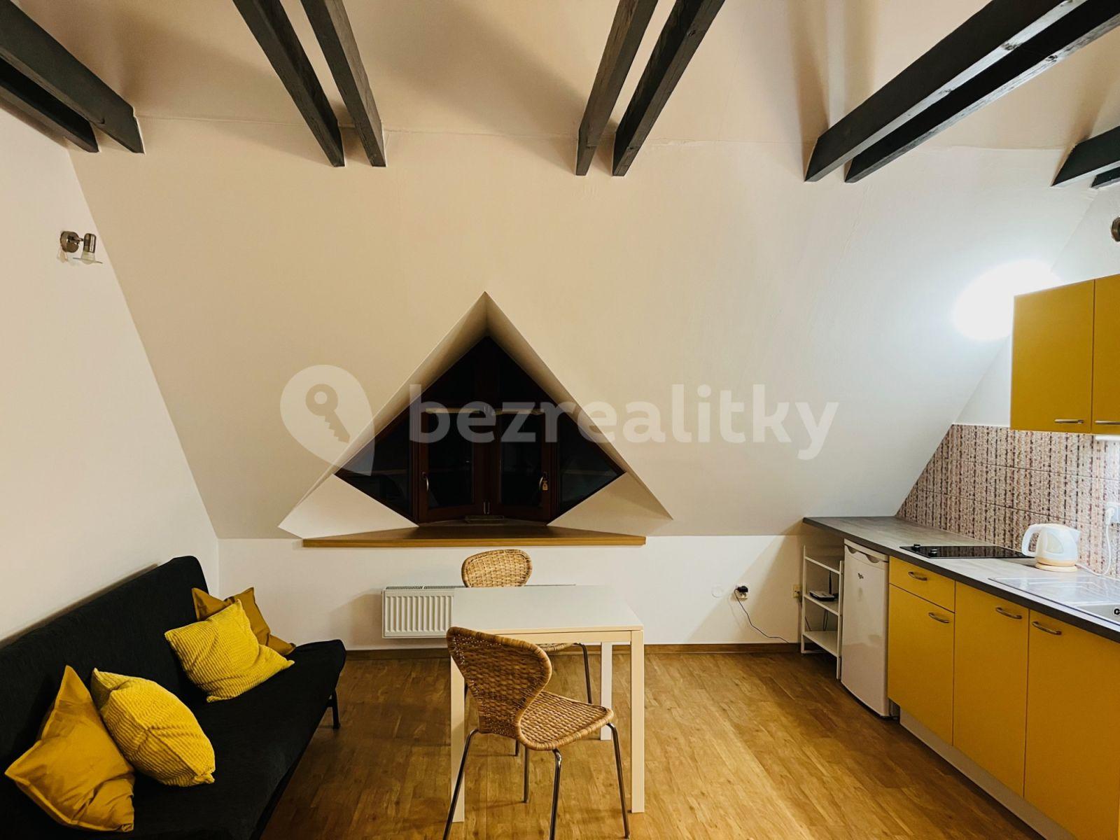 Studio flat to rent, 32 m², Červený kopec A, Brno, Jihomoravský Region