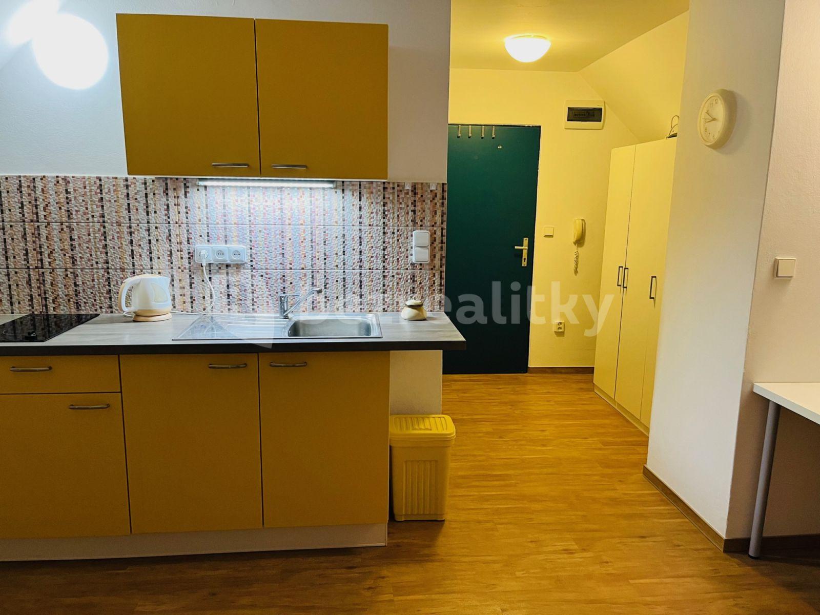 Studio flat to rent, 32 m², Červený kopec A, Brno, Jihomoravský Region