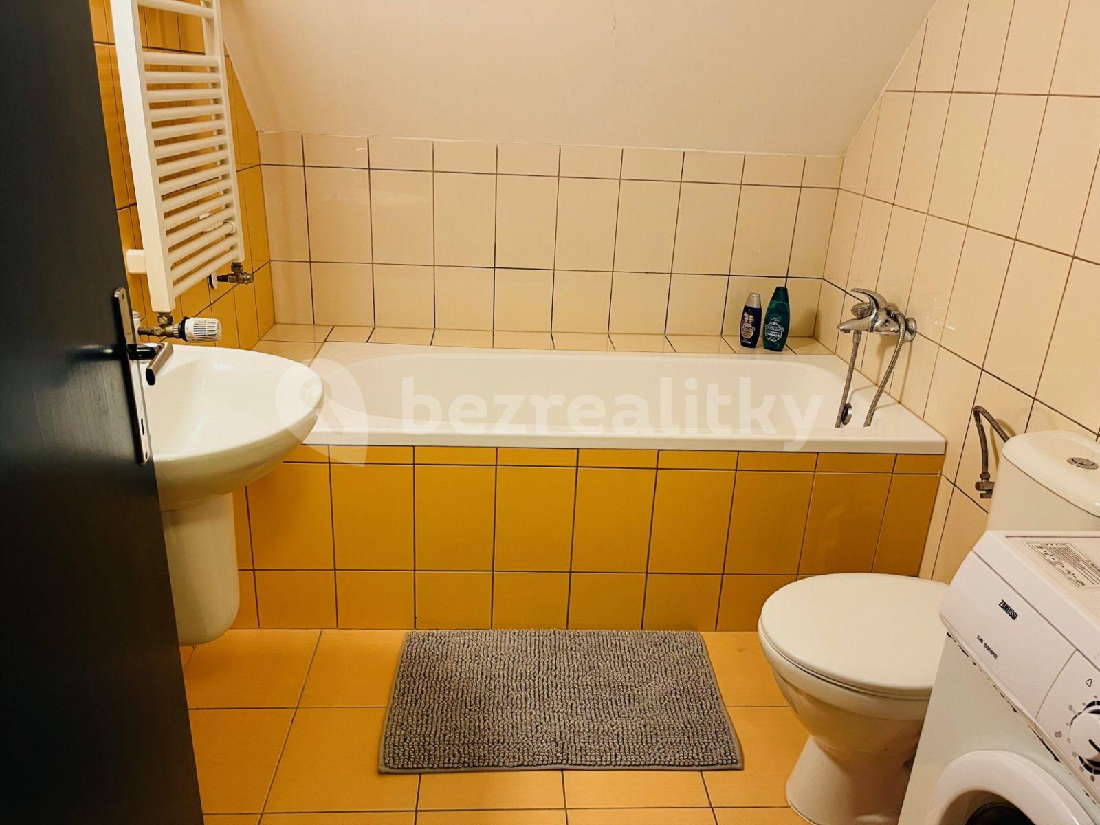 Studio flat to rent, 32 m², Červený kopec A, Brno, Jihomoravský Region