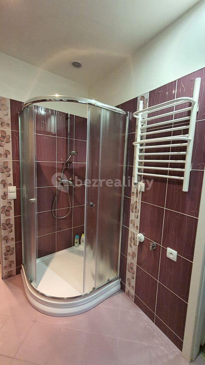 2 bedroom flat to rent, 45 m², Sportovní, Prague, Prague