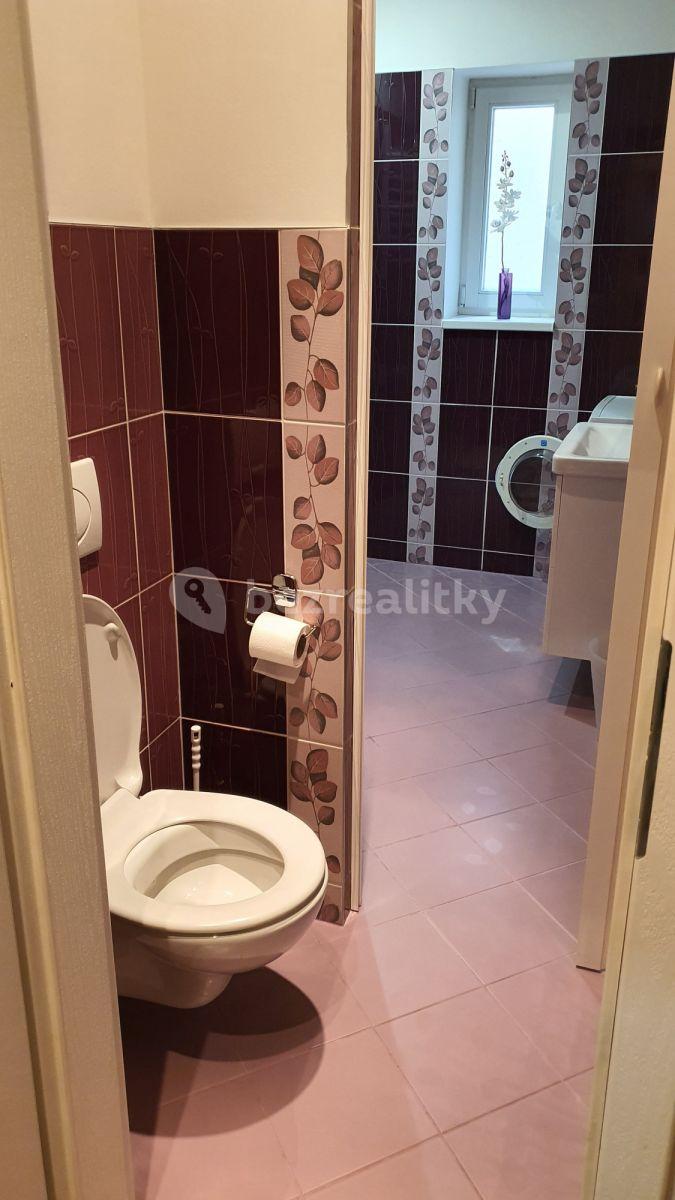 2 bedroom flat to rent, 45 m², Sportovní, Prague, Prague