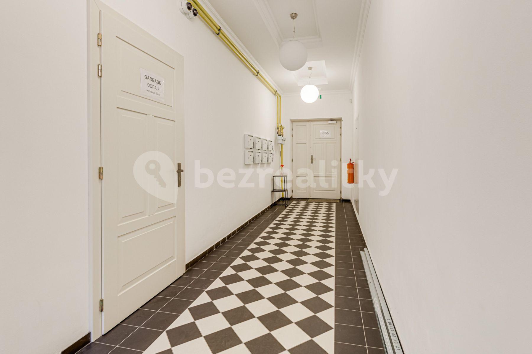 1 bedroom with open-plan kitchen flat to rent, 60 m², Mečislavova, Prague, Prague