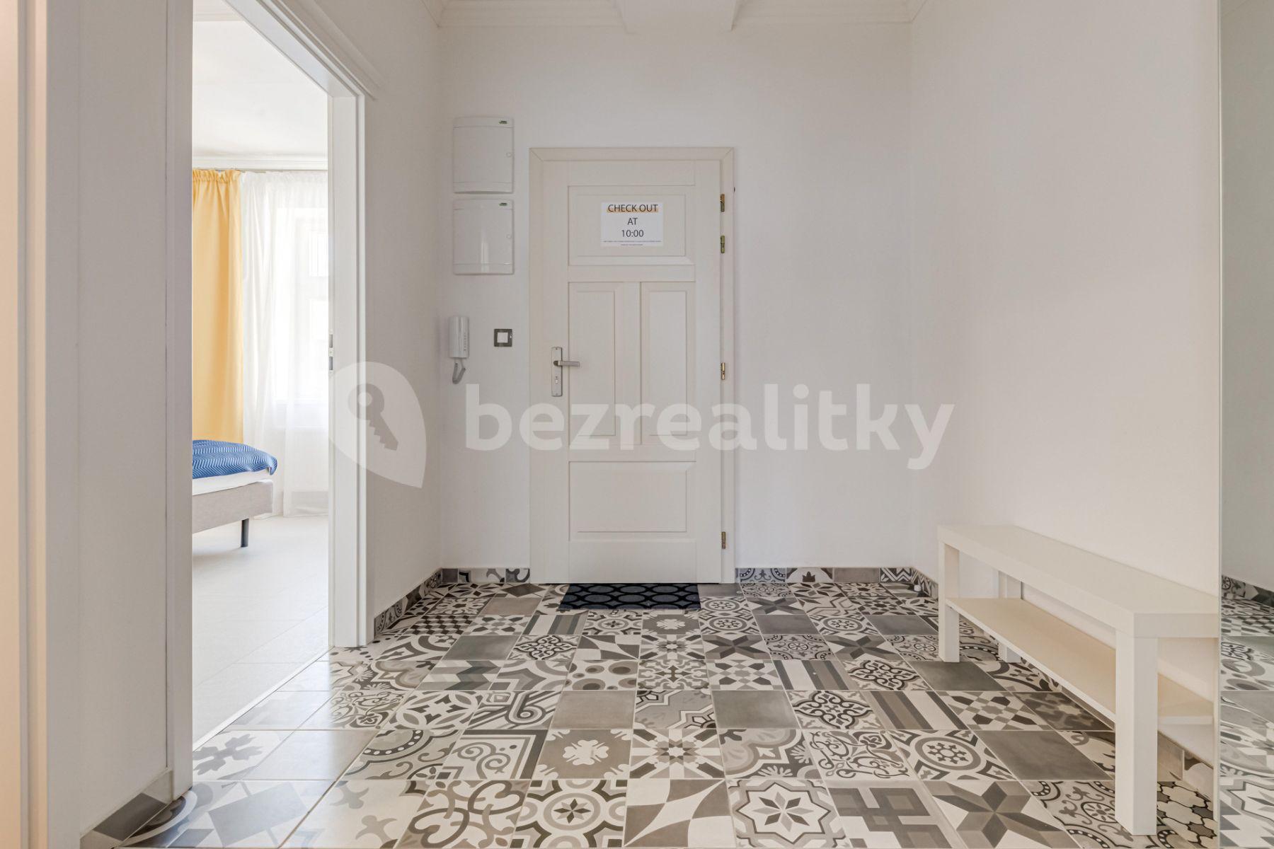 1 bedroom with open-plan kitchen flat to rent, 60 m², Mečislavova, Prague, Prague