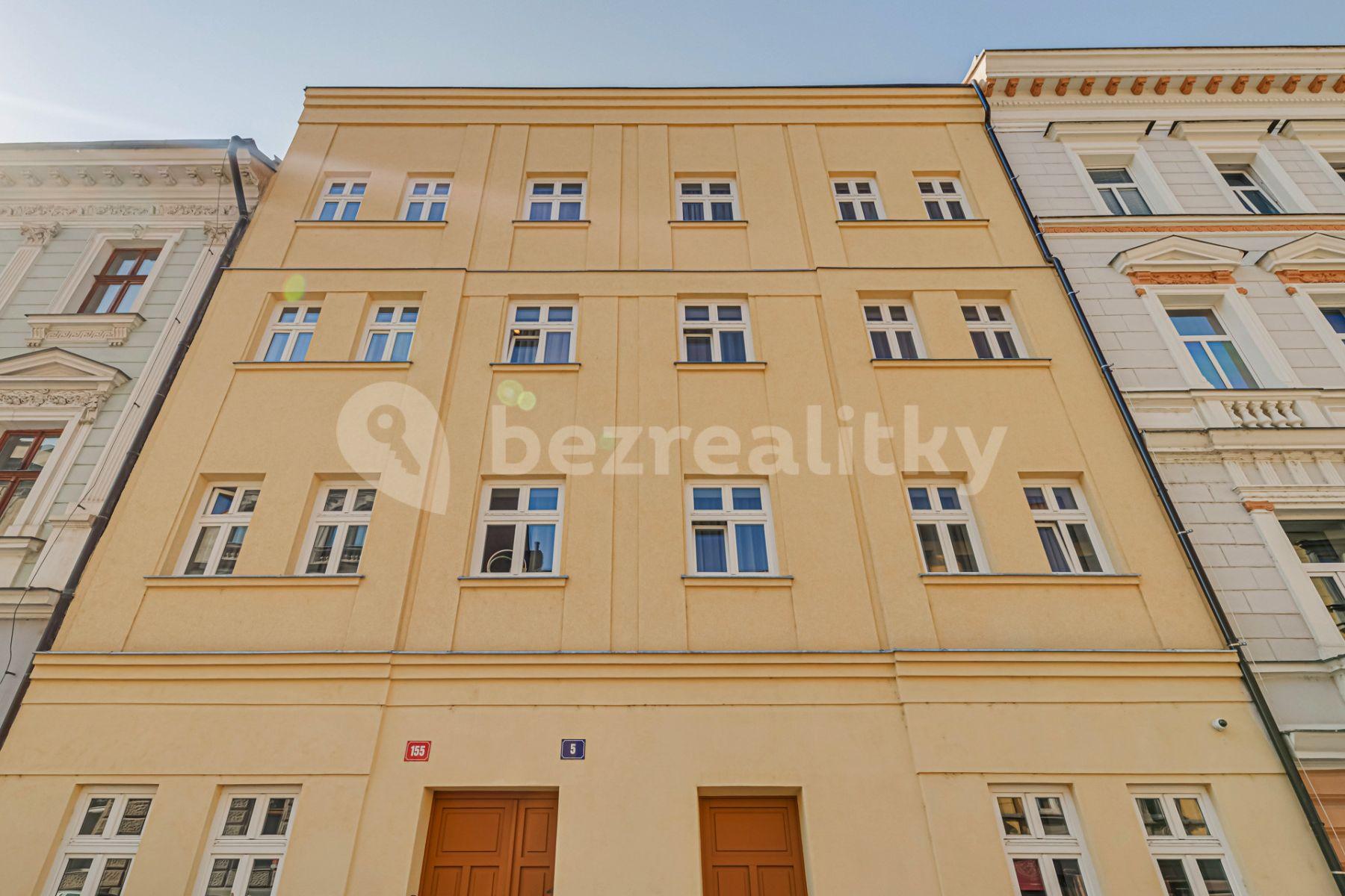 1 bedroom with open-plan kitchen flat to rent, 60 m², Mečislavova, Prague, Prague