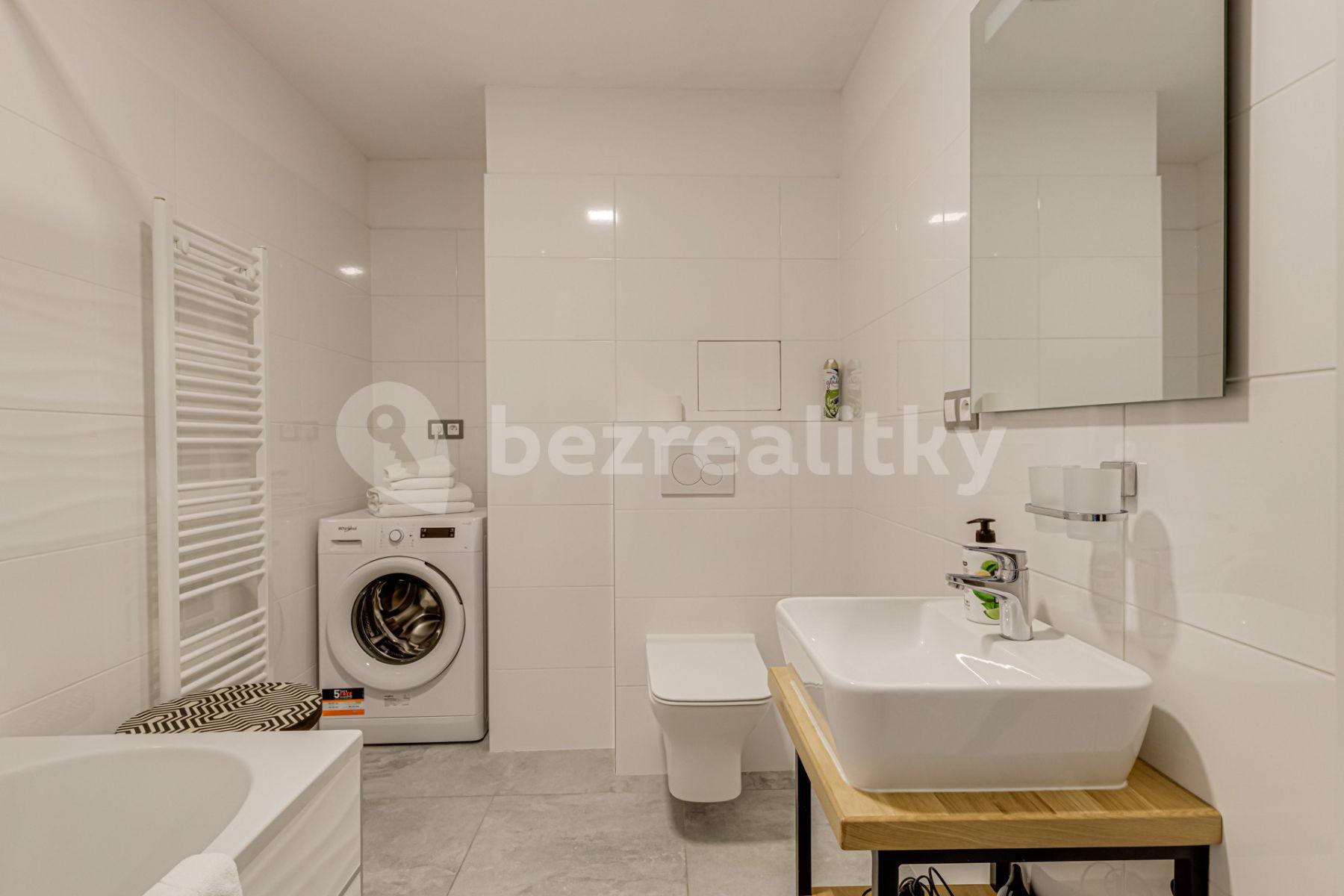 1 bedroom with open-plan kitchen flat to rent, 60 m², Mečislavova, Prague, Prague